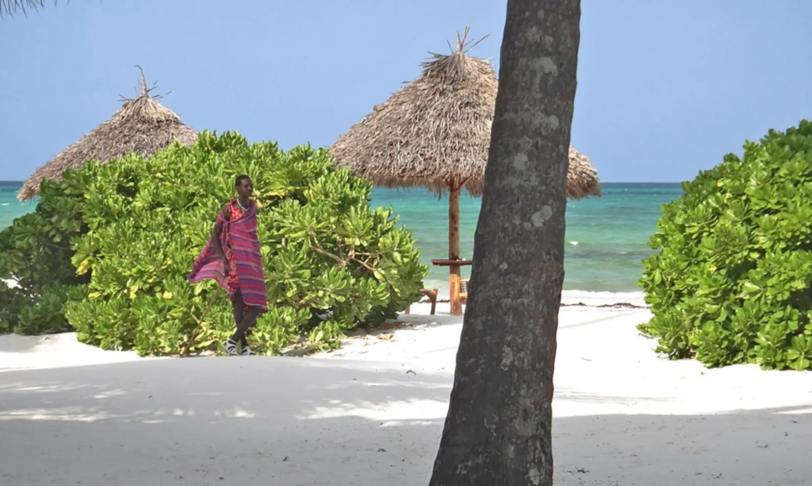 Beach in Pongwe Bay Resort