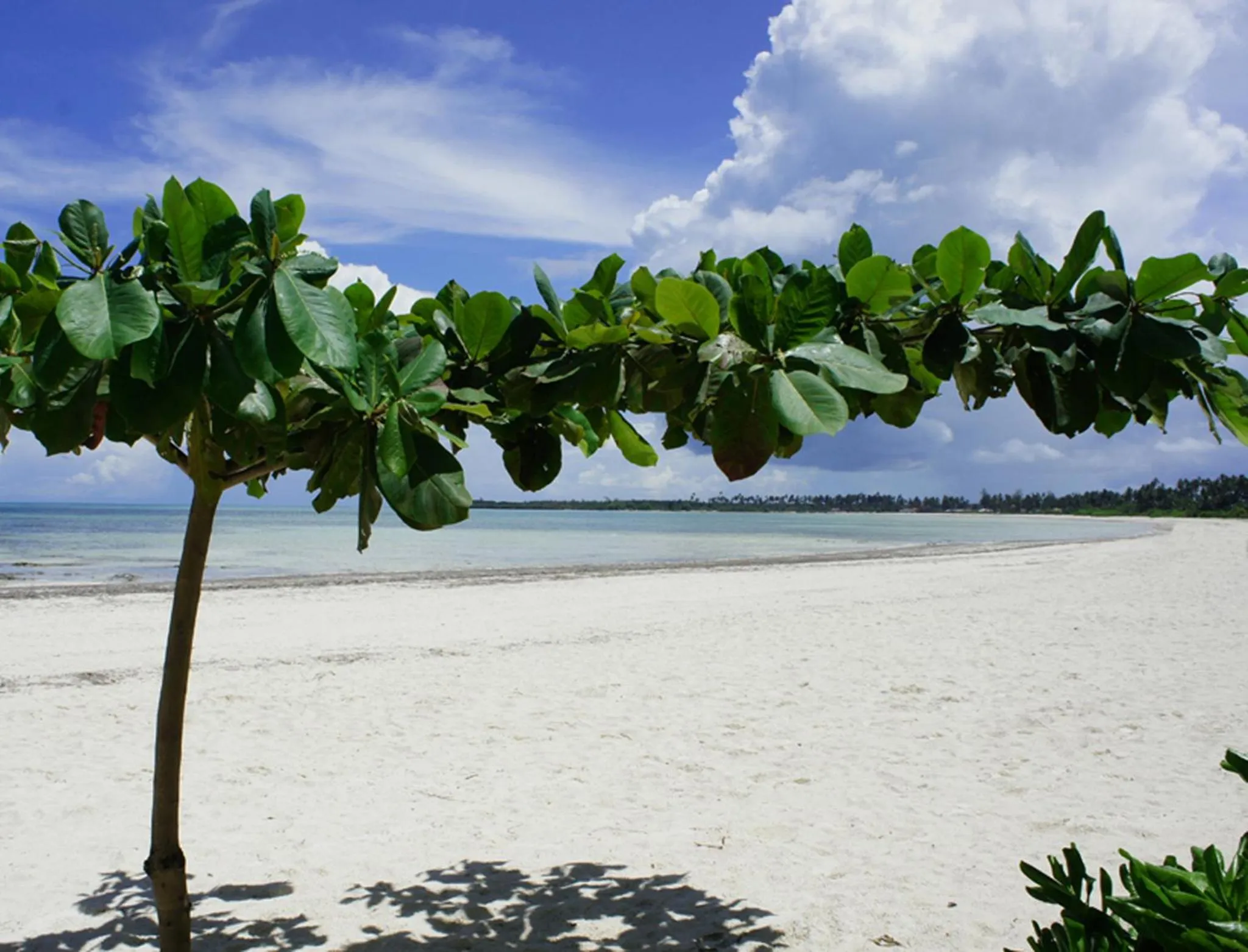 Beach in Pongwe Bay Resort