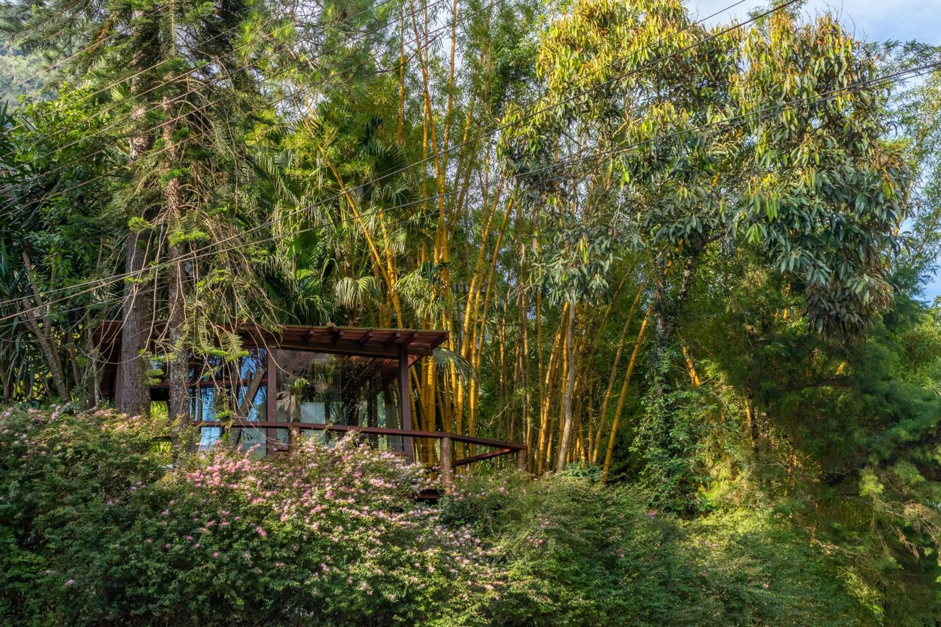 Property building in Locanda della Mimosa