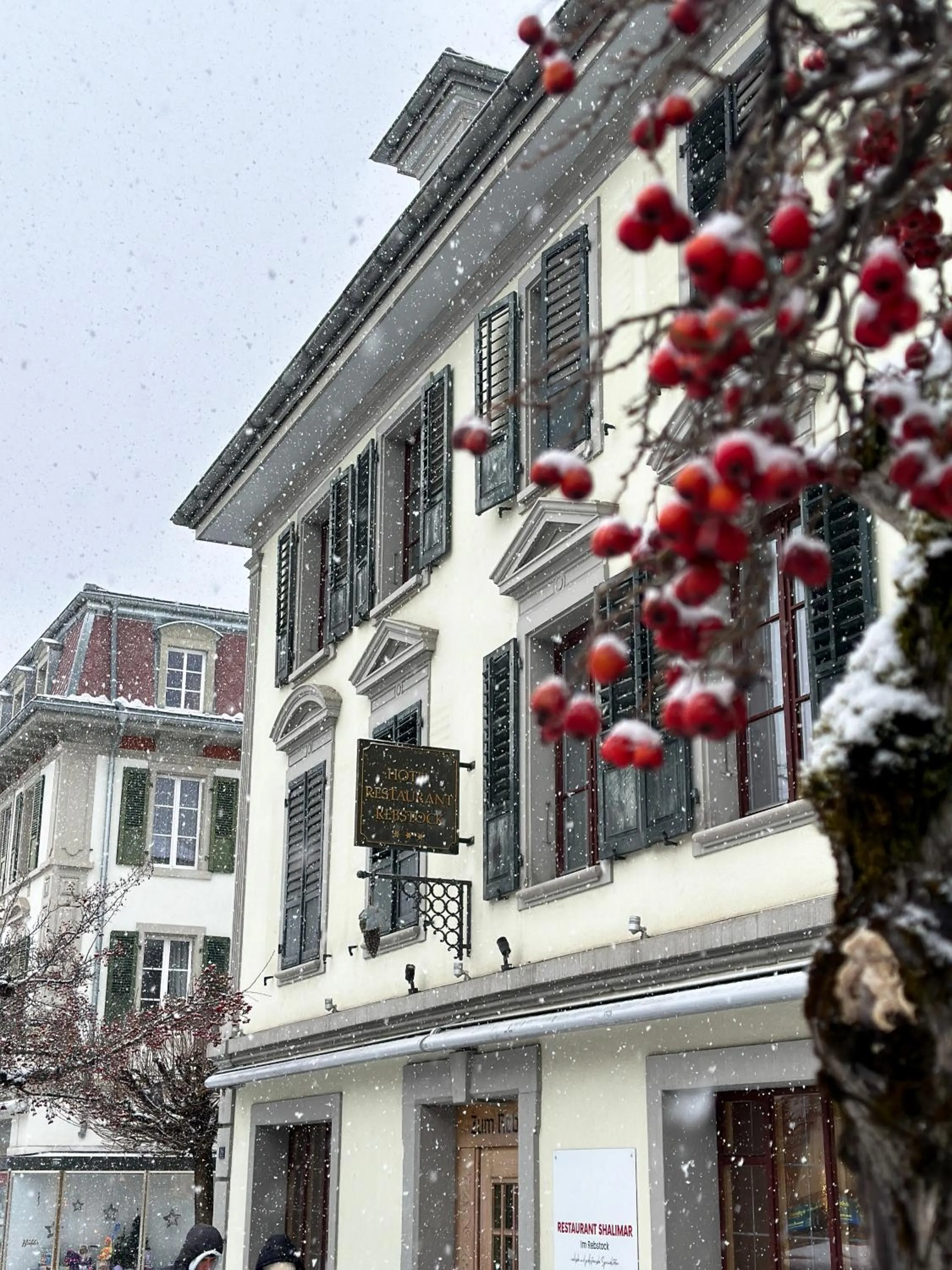 Property building in Hotel Rebstock Meiringen