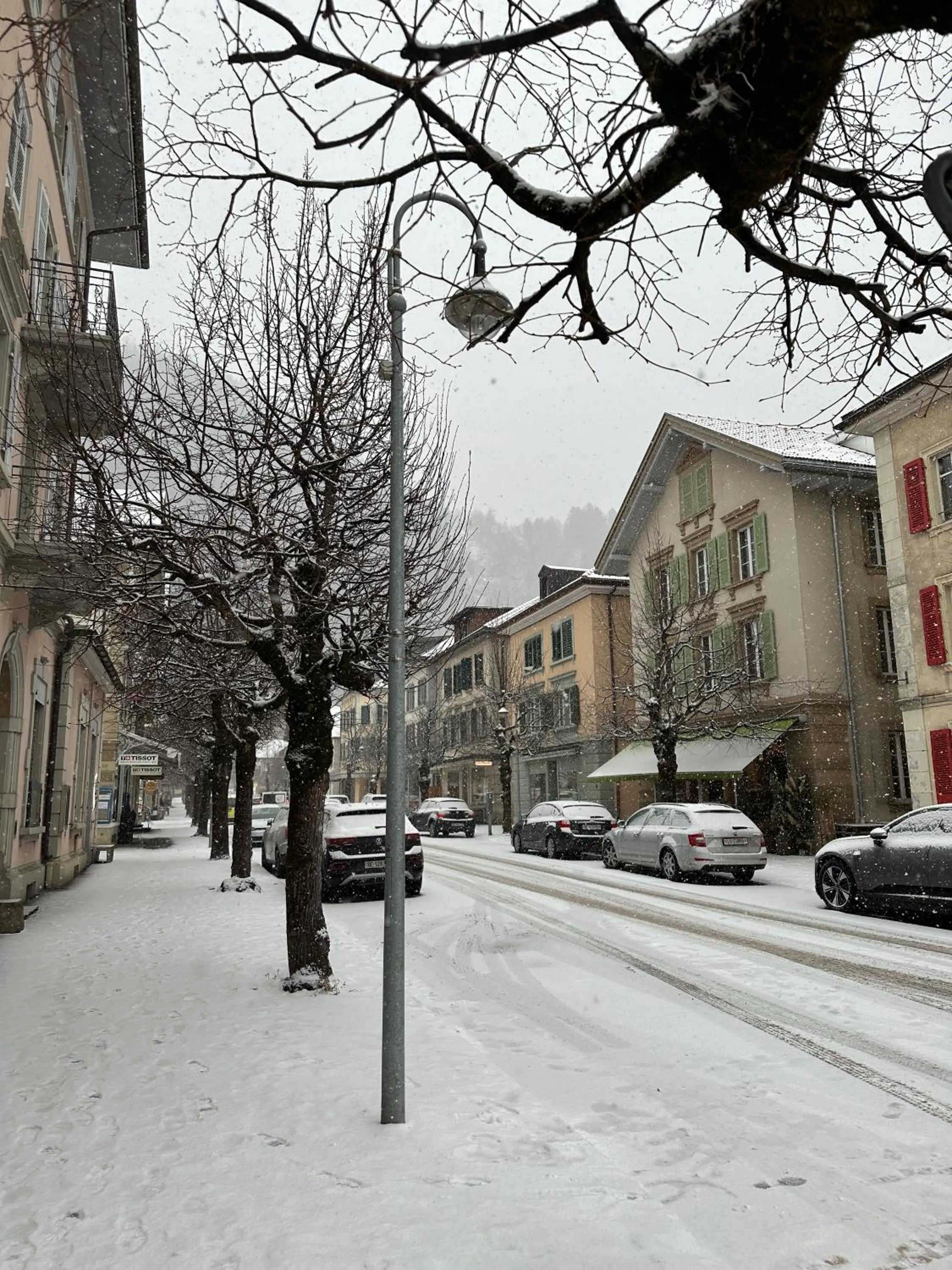Neighbourhood in Hotel Rebstock Meiringen