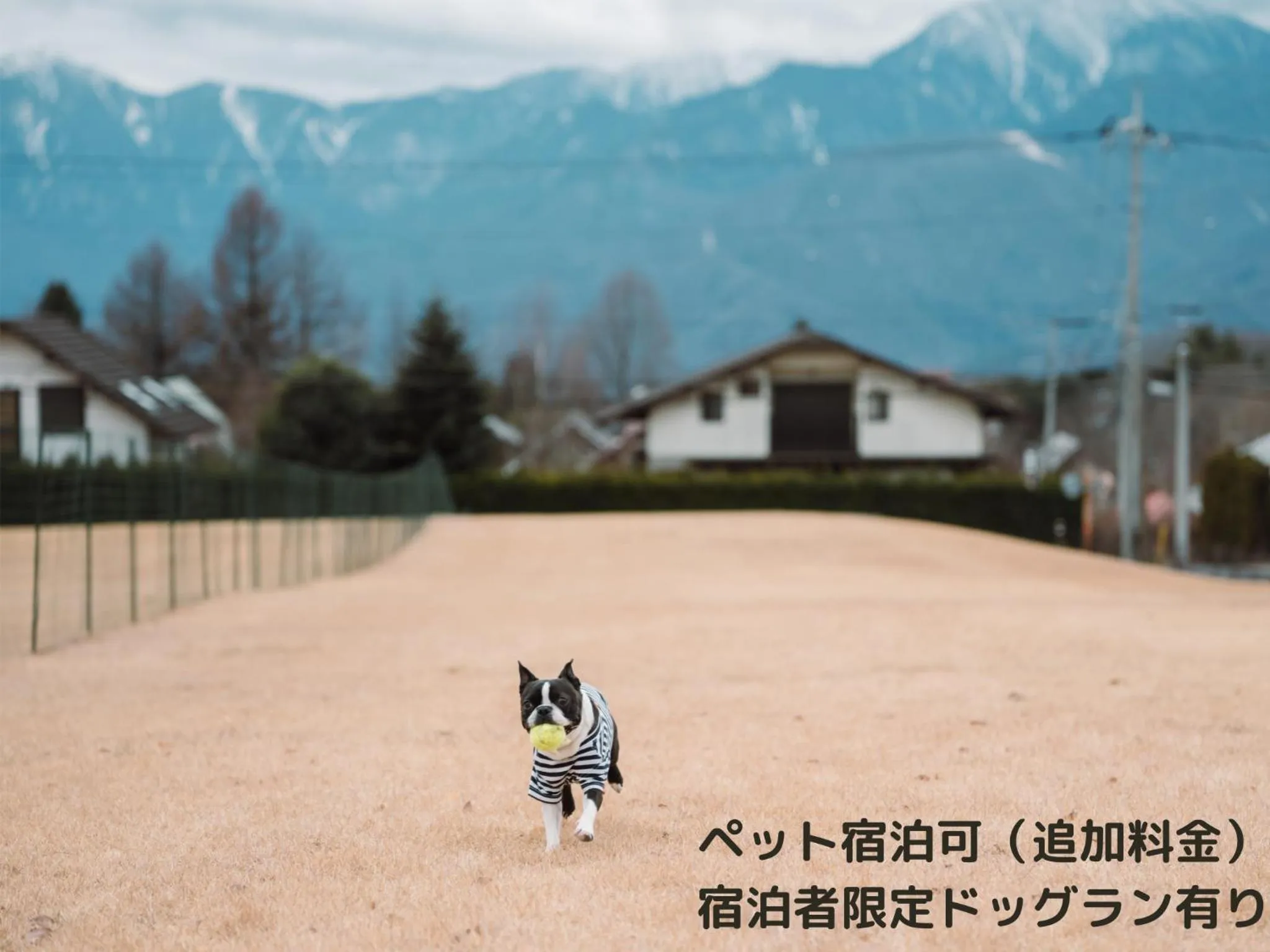 Pets in Lodge Kent & Cottage Kent