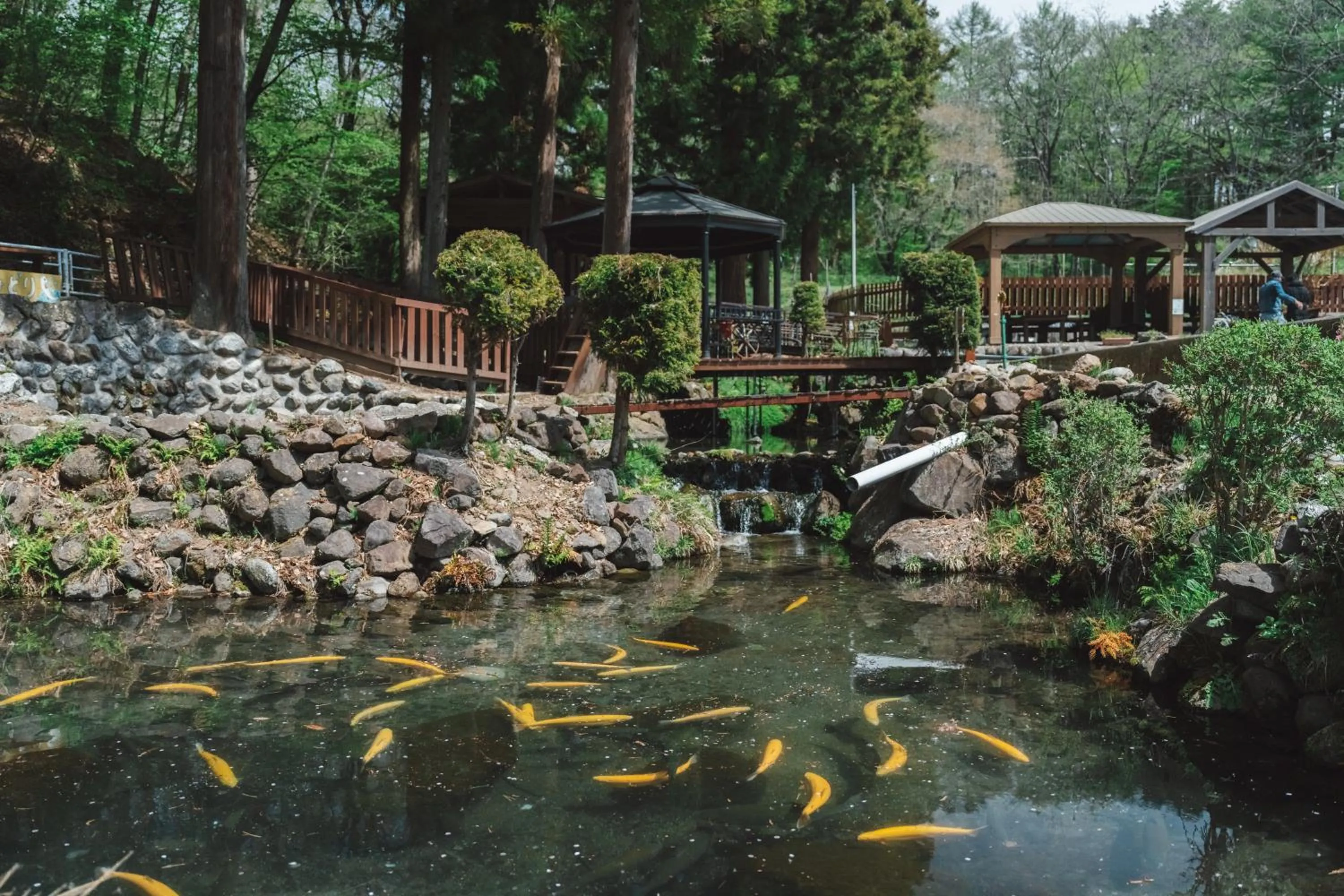 Fishing in Lodge Kent & Cottage Kent