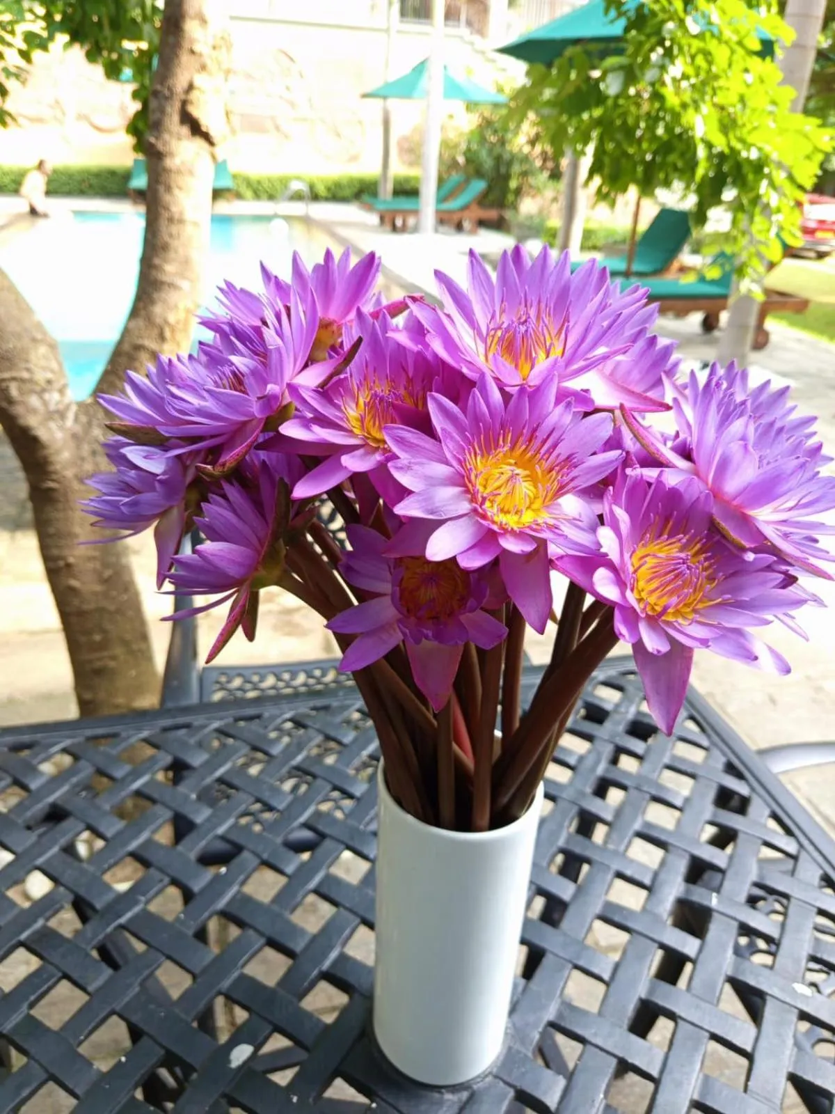 Day in Villa Rumassala Luxury Chalets Unawatuna