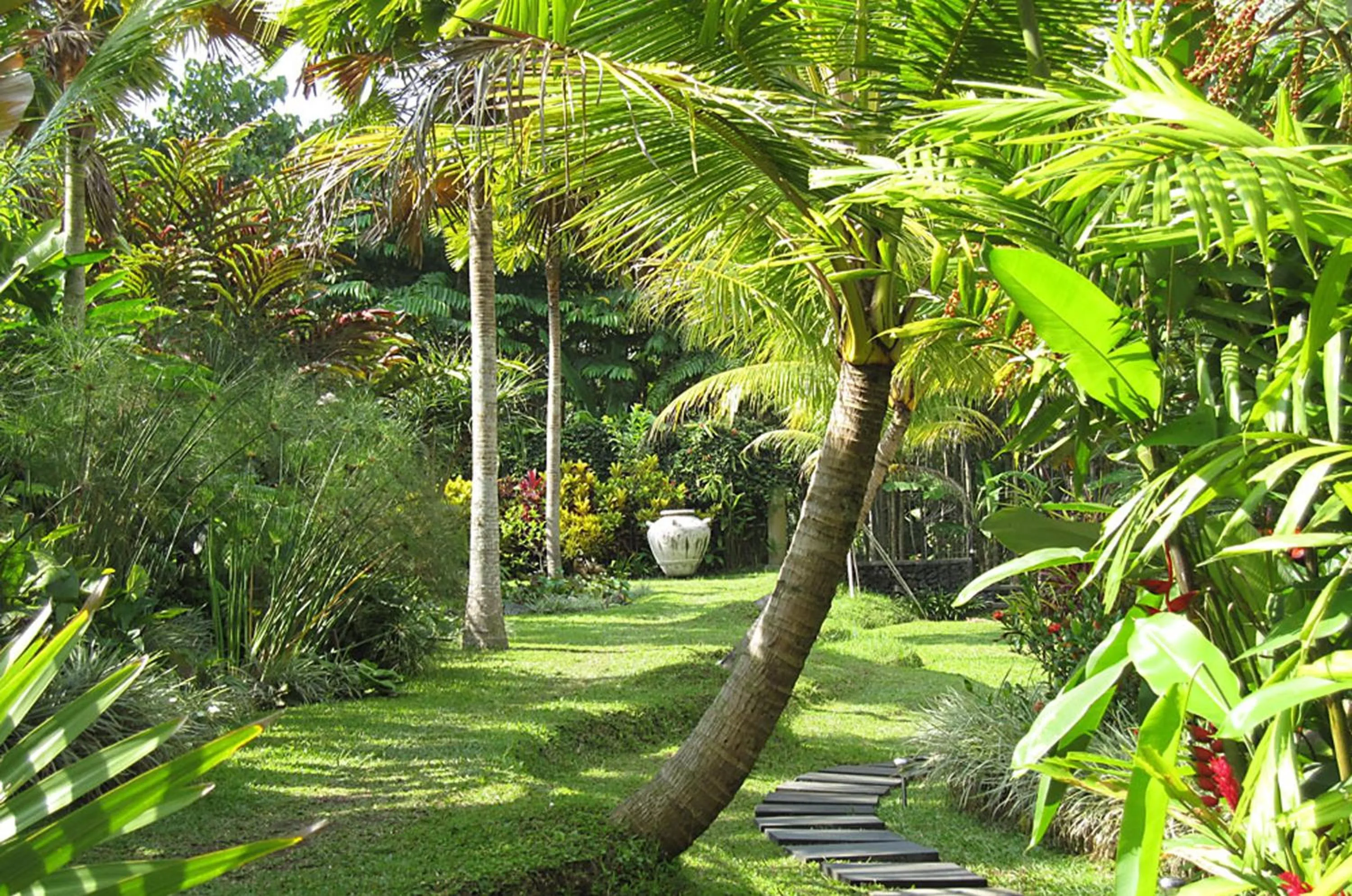 Garden in Jendela Di Bali Villa
