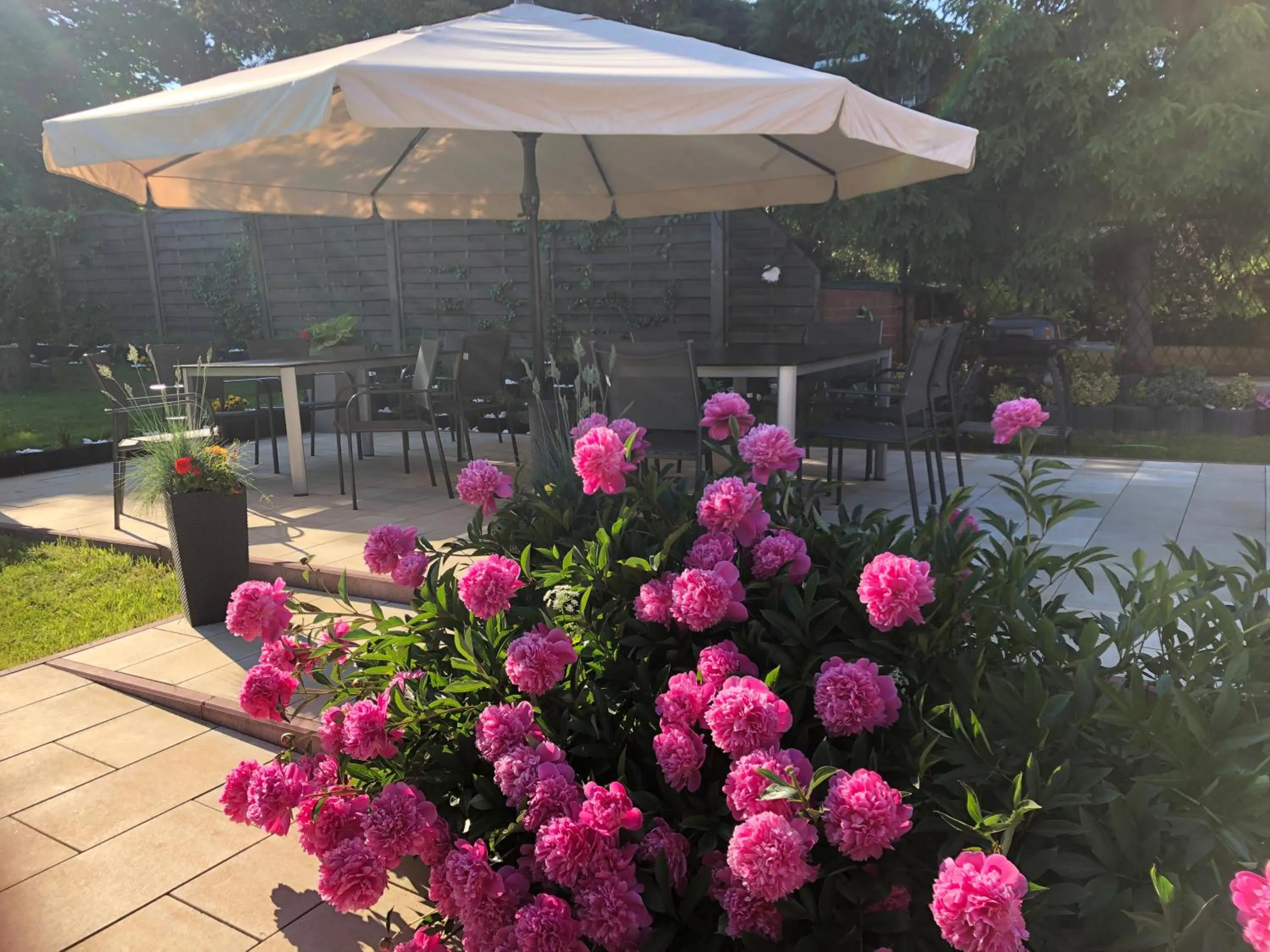 Garden in Villa Aida pokoje gościnne