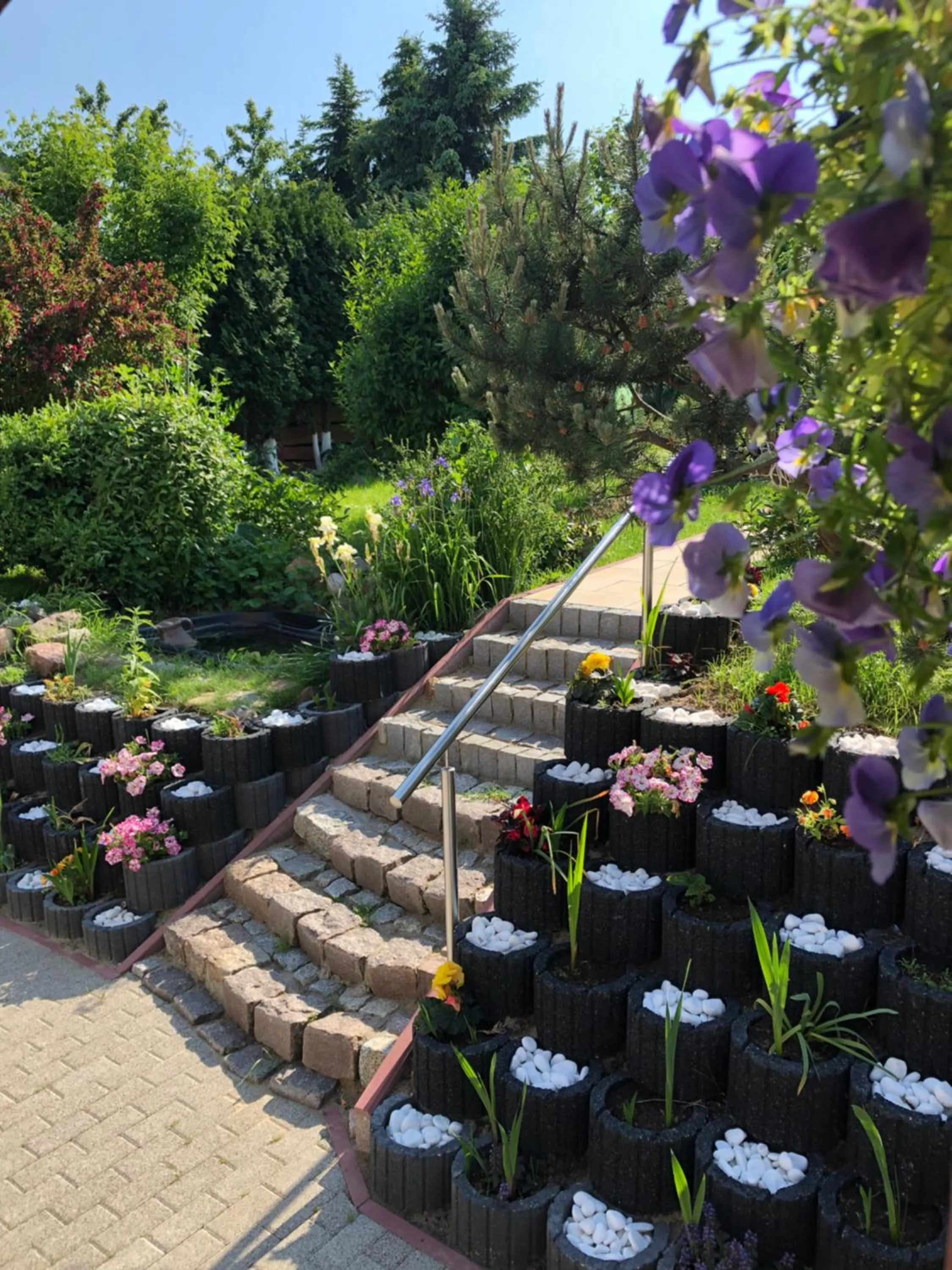 Garden in Villa Aida pokoje gościnne