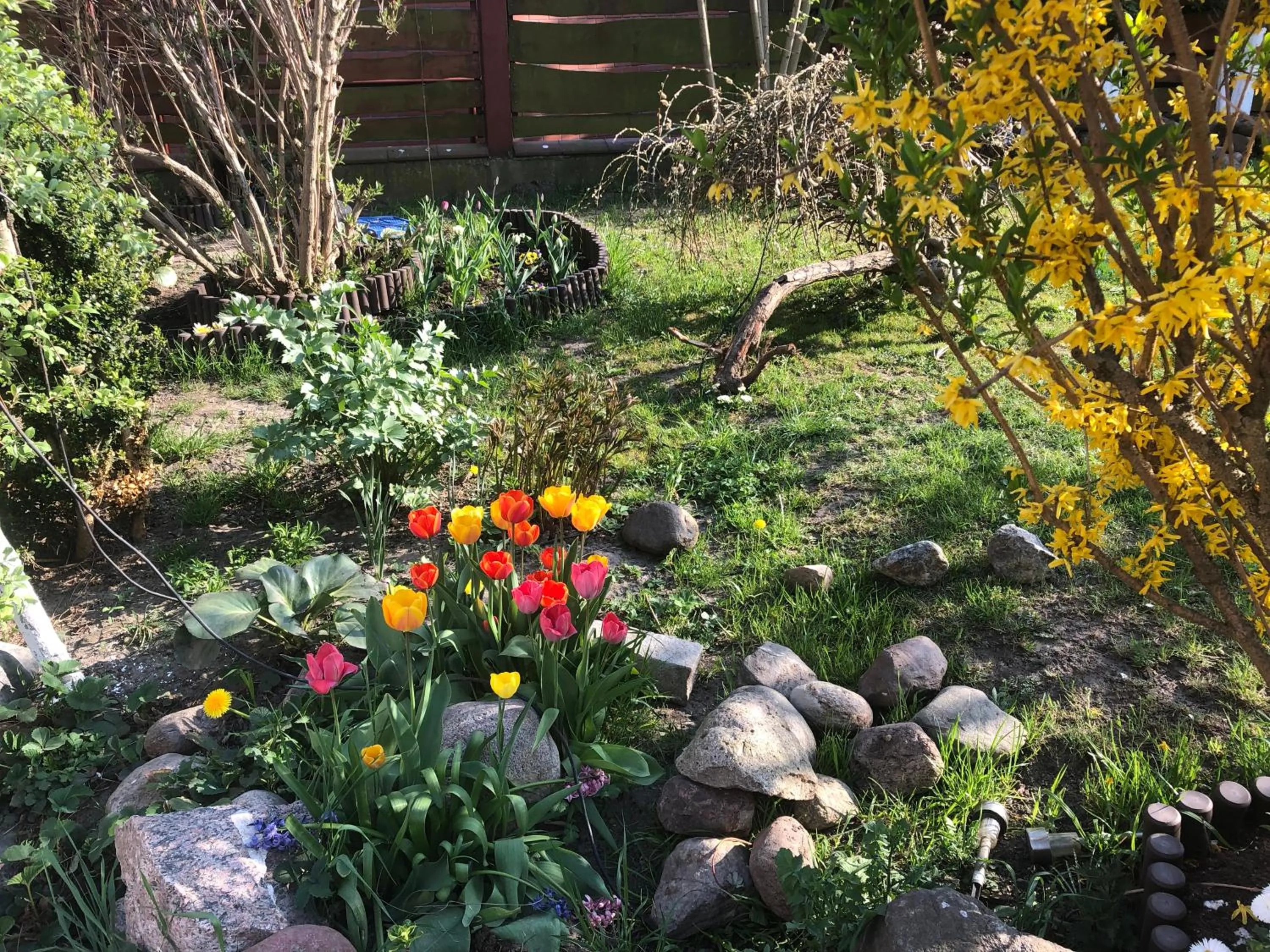 Garden in Villa Aida pokoje gościnne