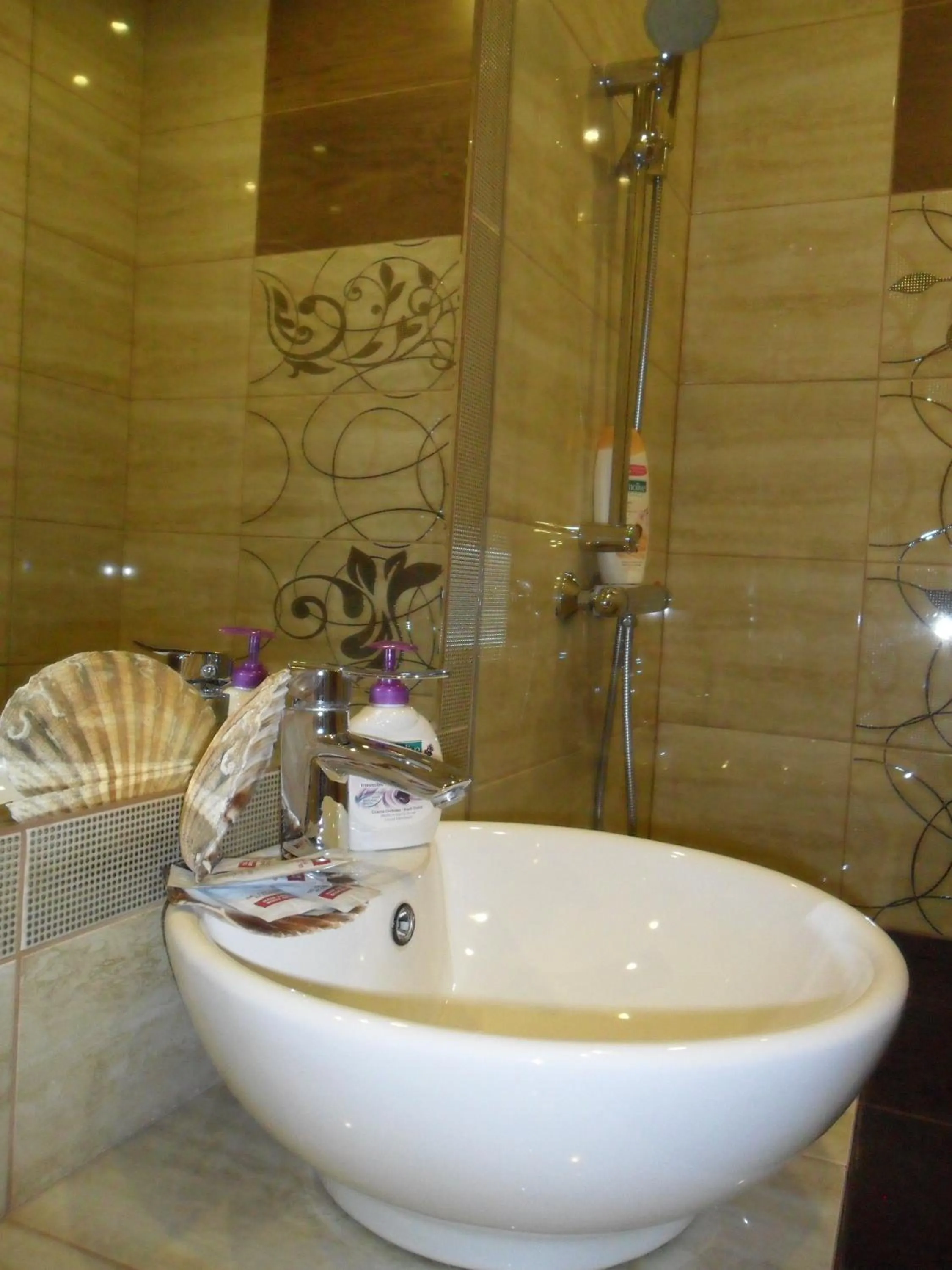 Bathroom in Villa Aida pokoje gościnne