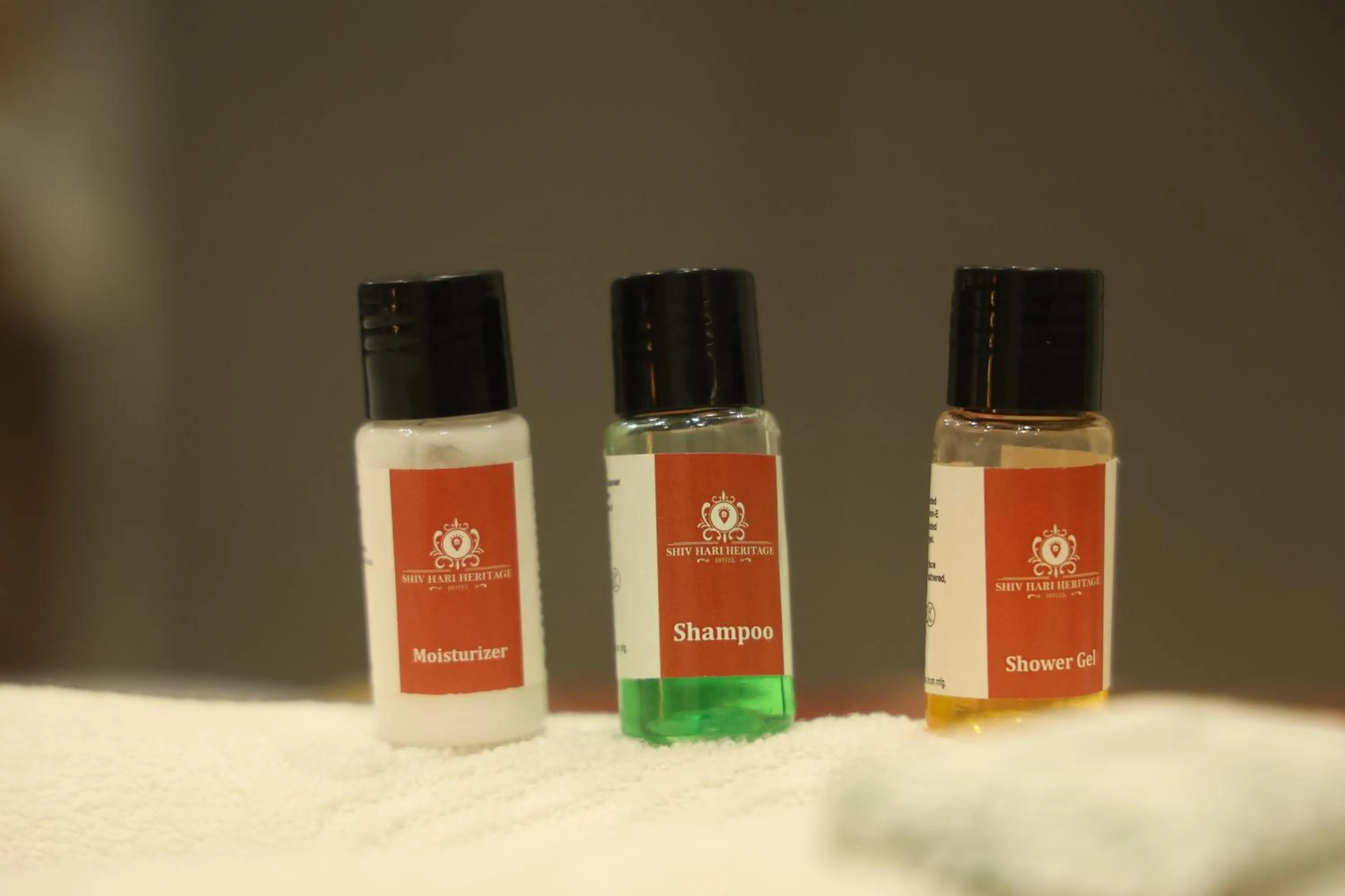 Shower in Shiv Hari heritage