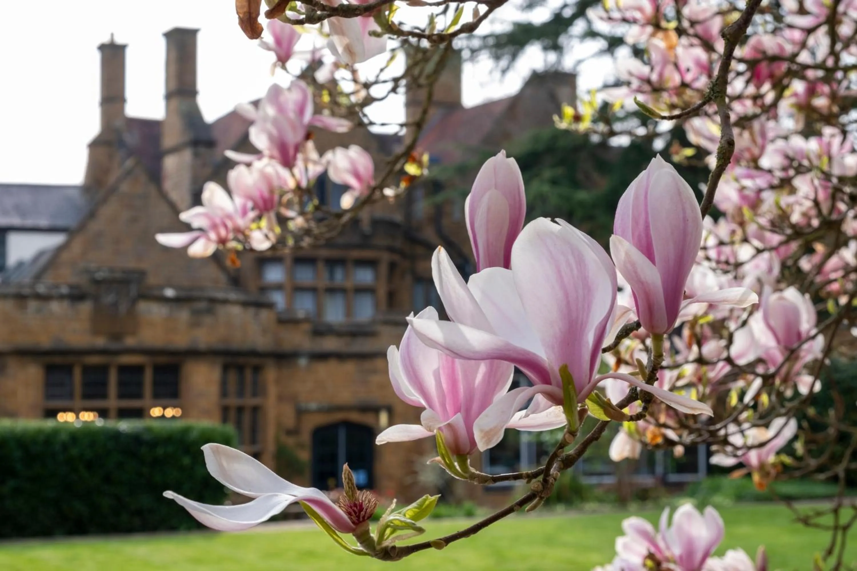 Spring in Whately Hall Hotel