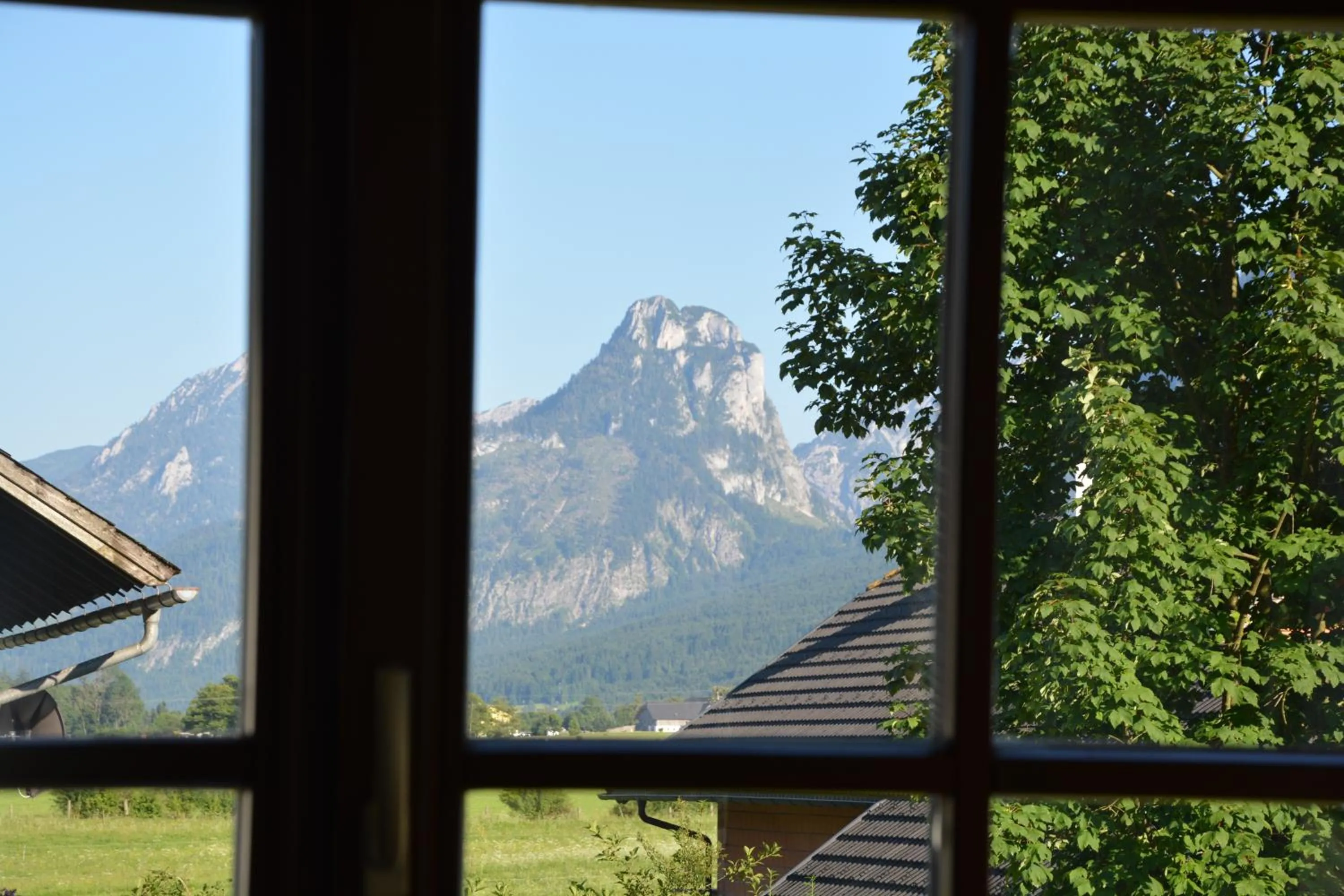 Natural landscape in Appart Weisse Urlauben am Wolfgangsee
