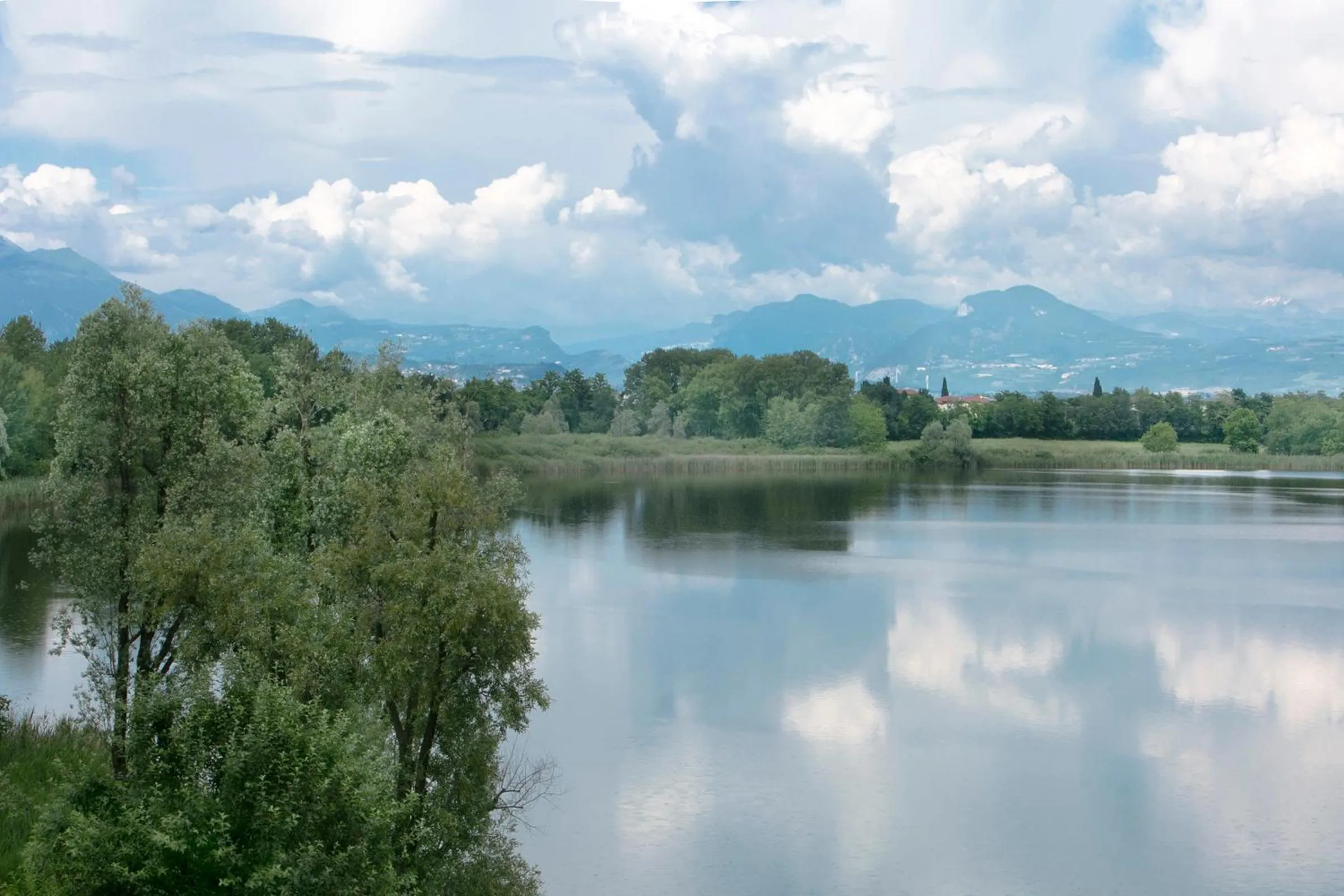 View (from property/room) in Le Ali Del Frassino