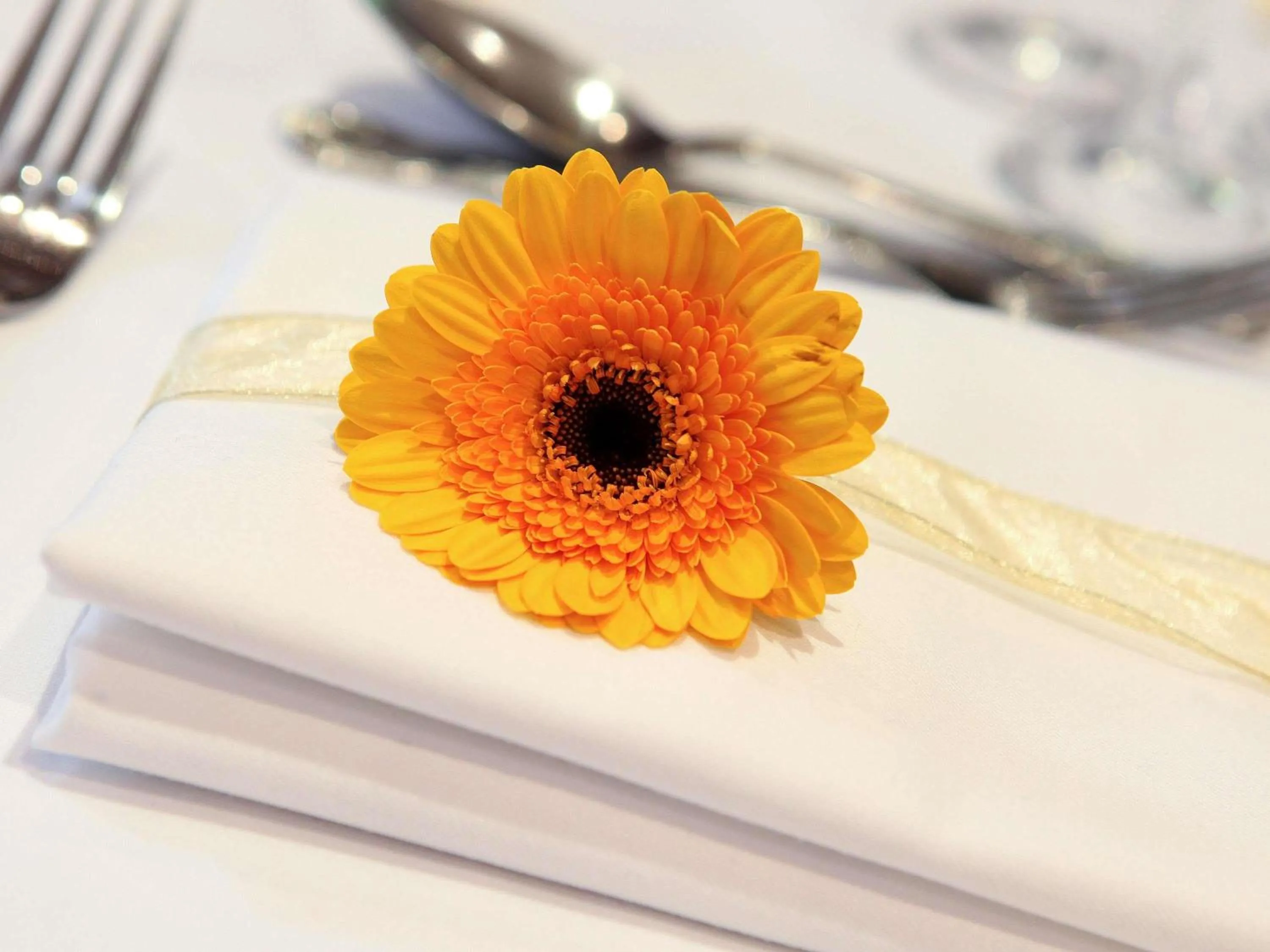 wedding in Mercure Salisbury White Hart Hotel & Apartments