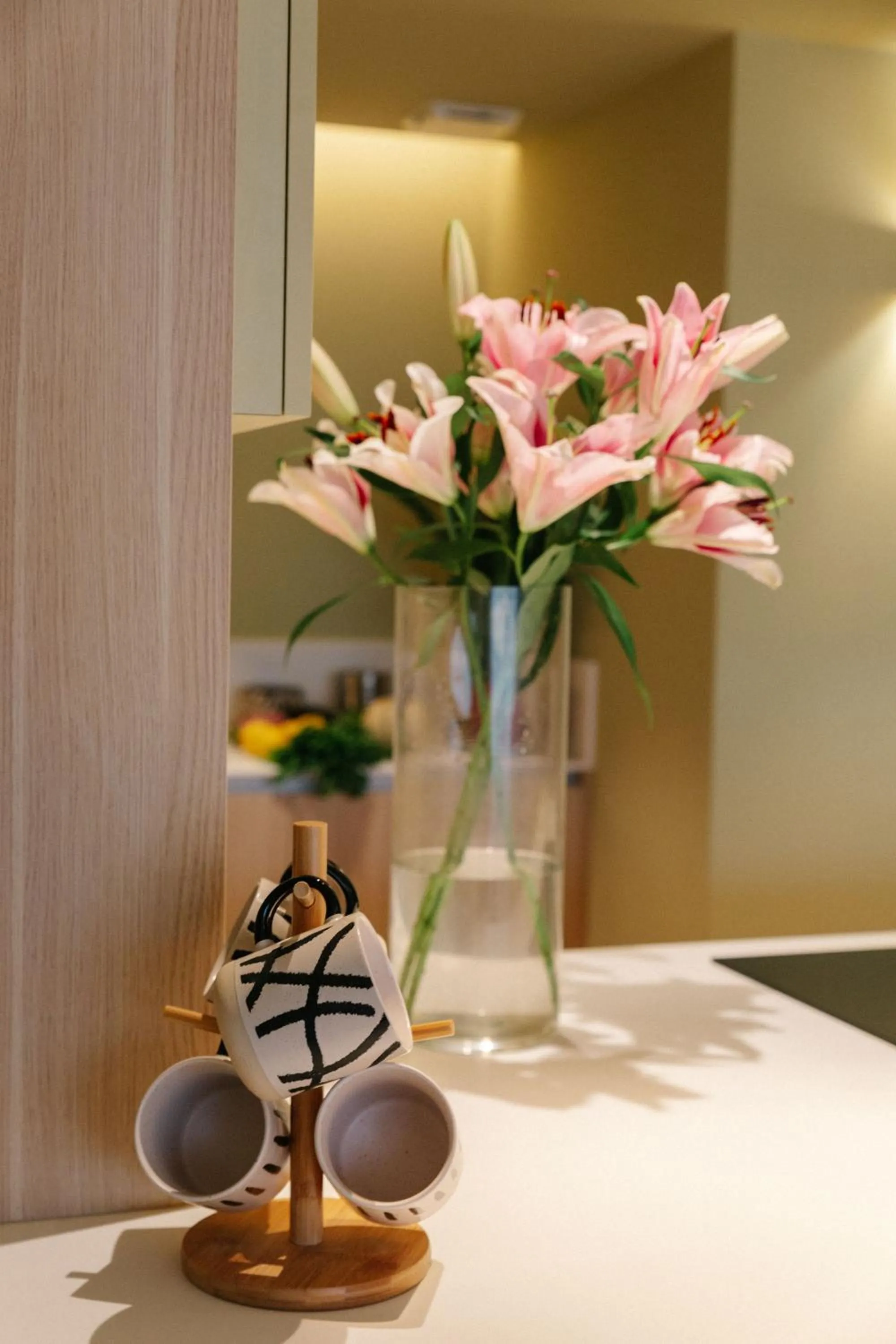 kitchen in Résidence Châteauneuf