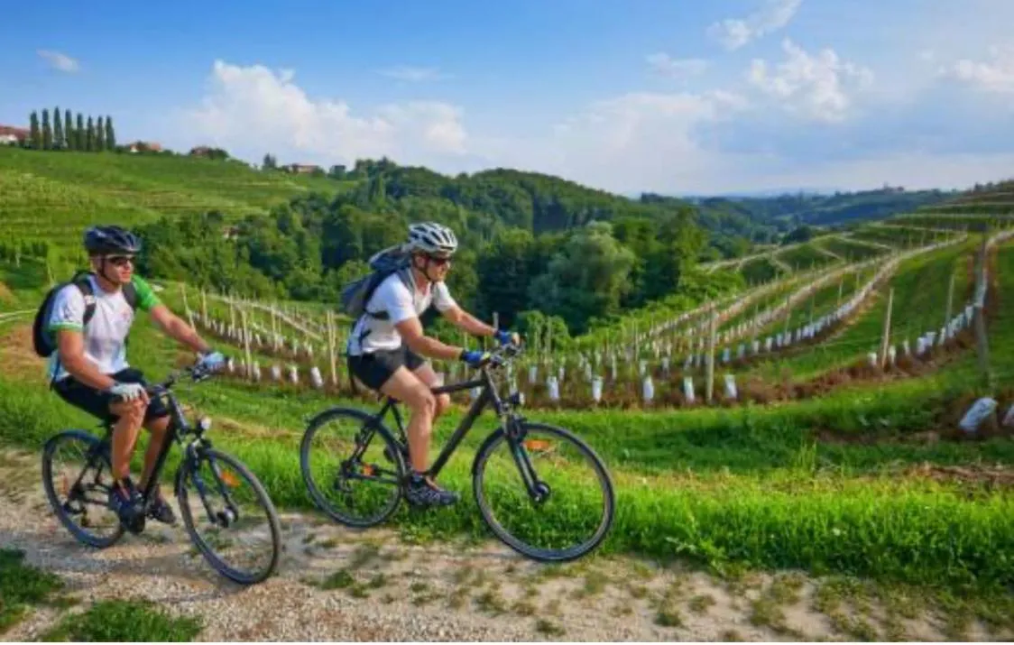 Cycling in B&B Sul Garda