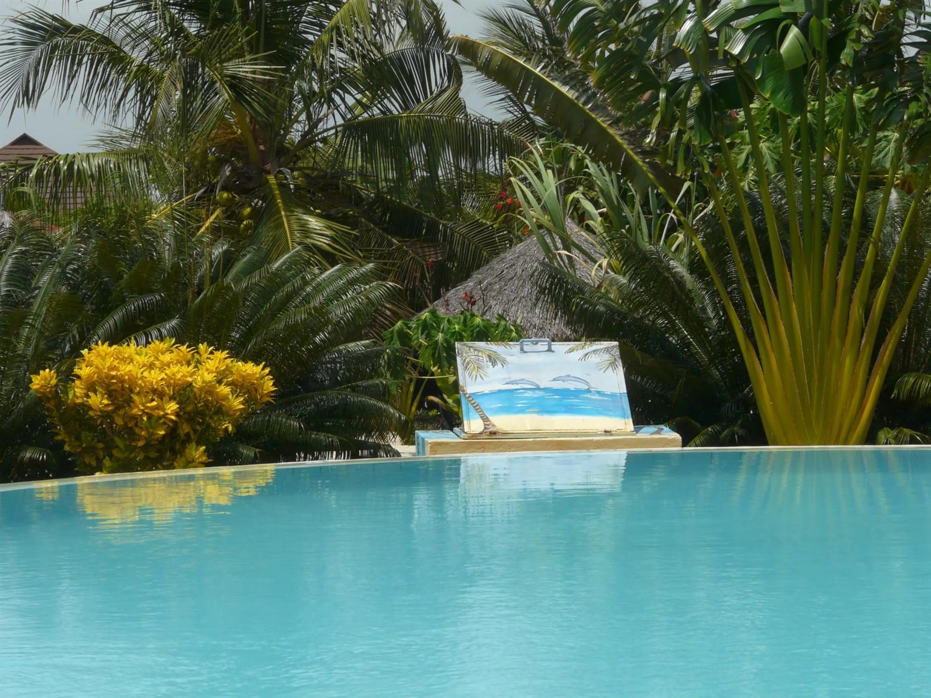 Swimming pool in African Dream Cottages - Diani Beach