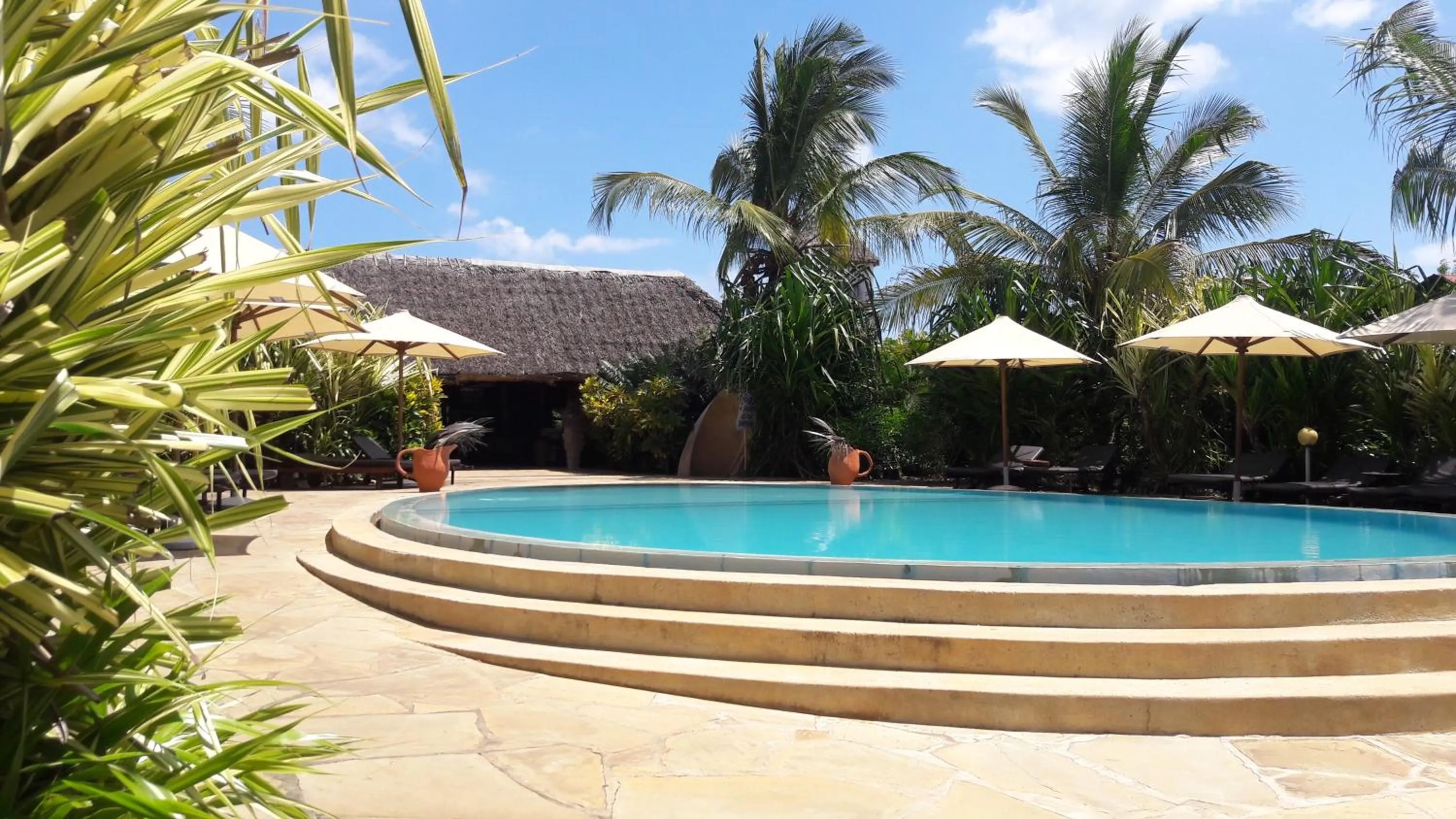 Swimming pool in African Dream Cottages - Diani Beach