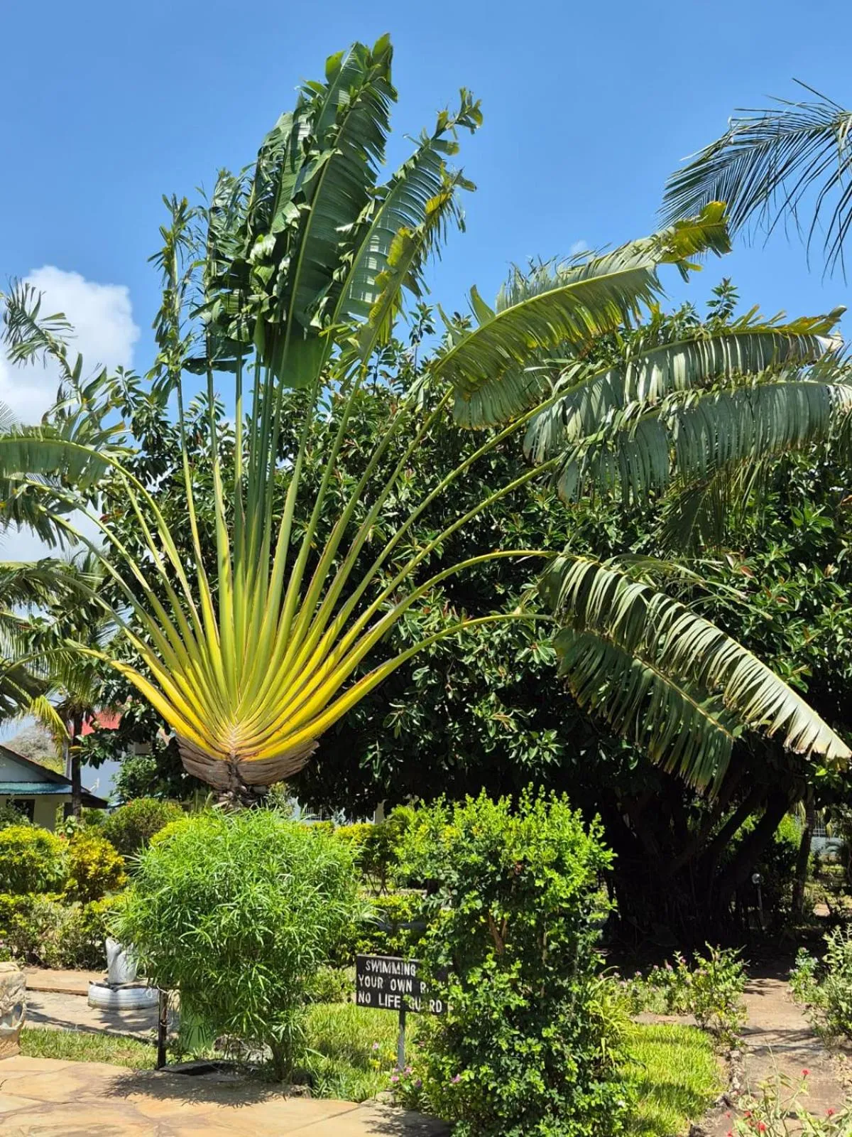Garden in African Dream Cottages - Diani Beach