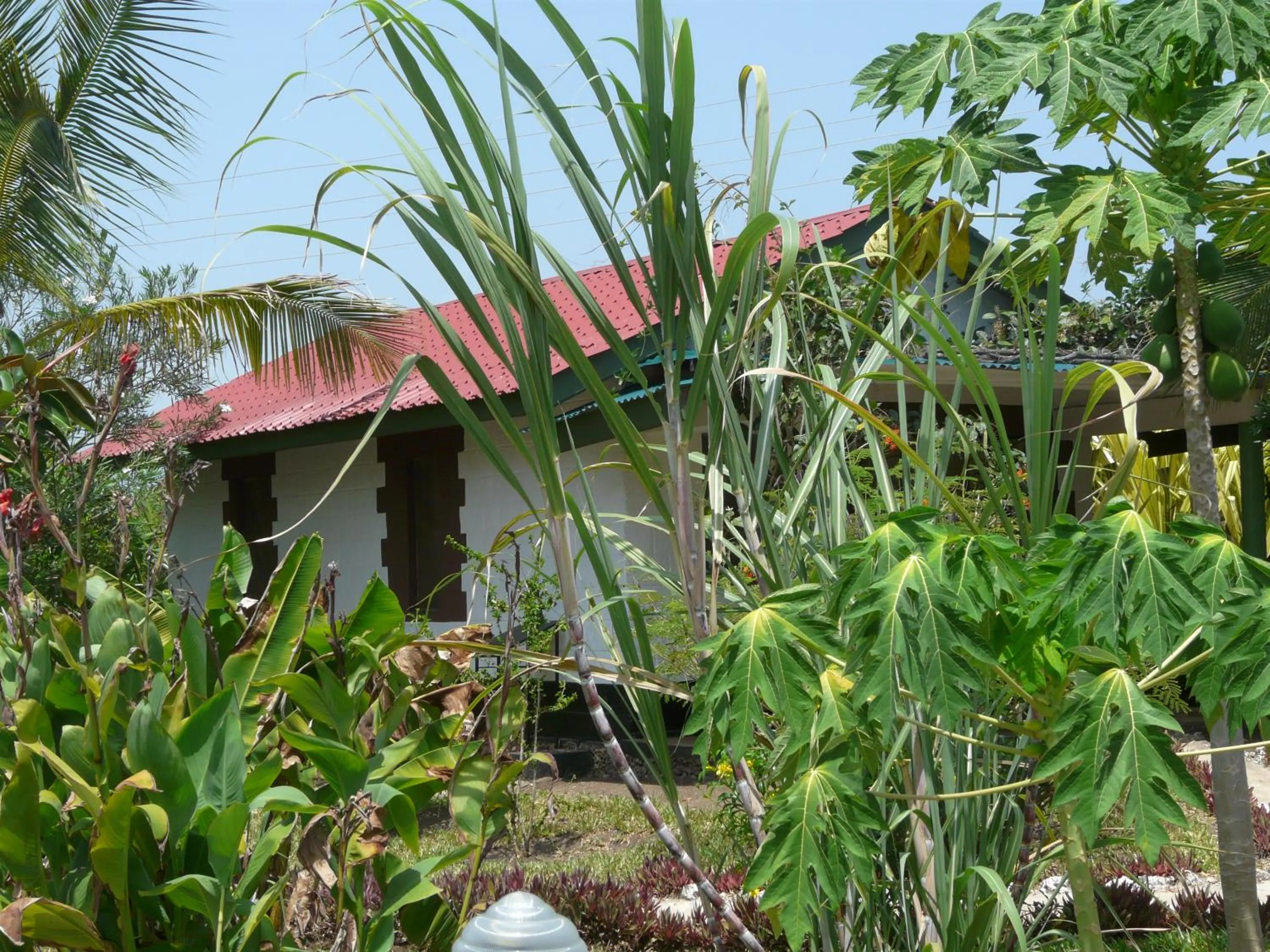 Facade/entrance in African Dream Cottages - Diani Beach