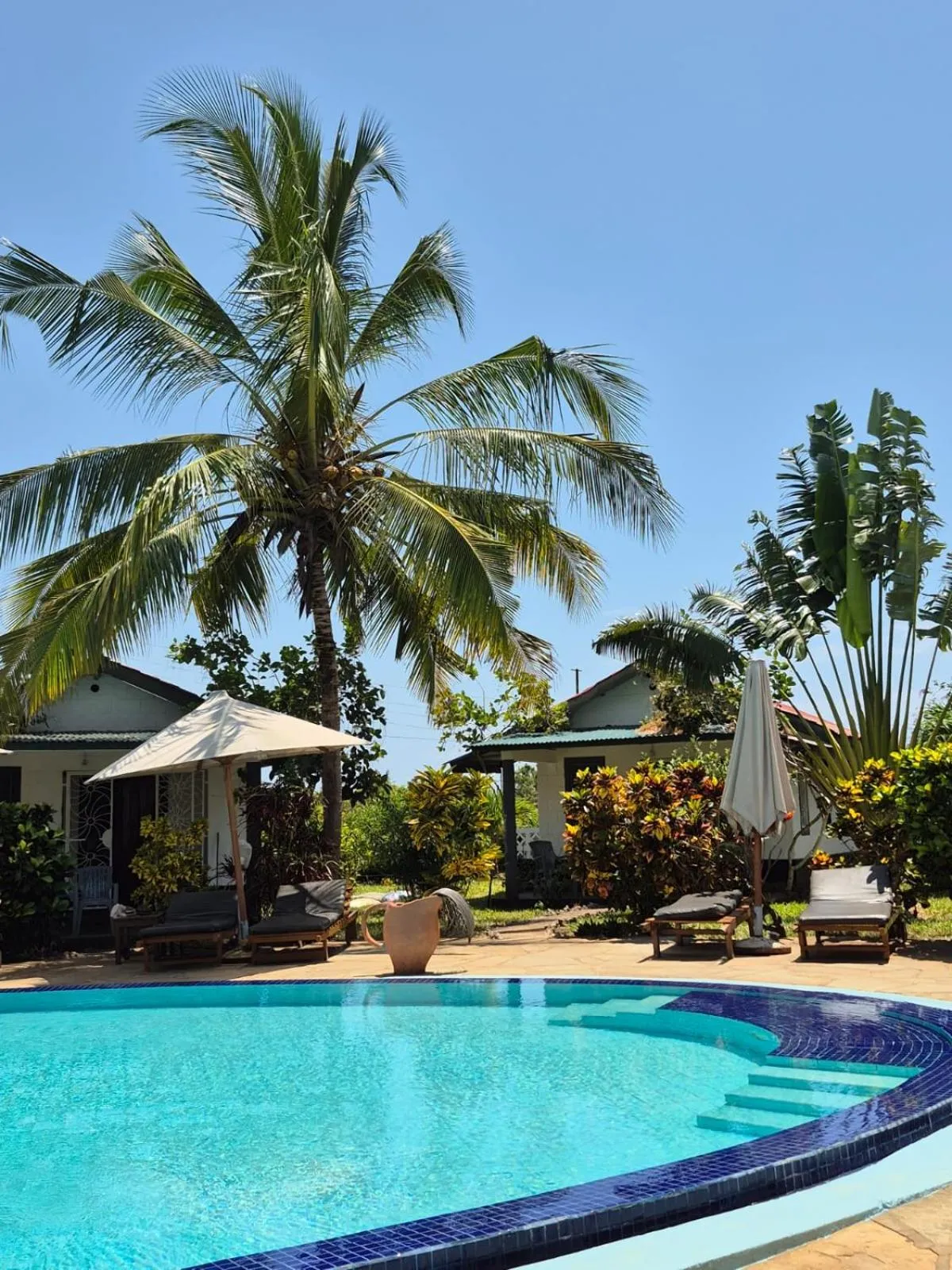 Garden in African Dream Cottages - Diani Beach