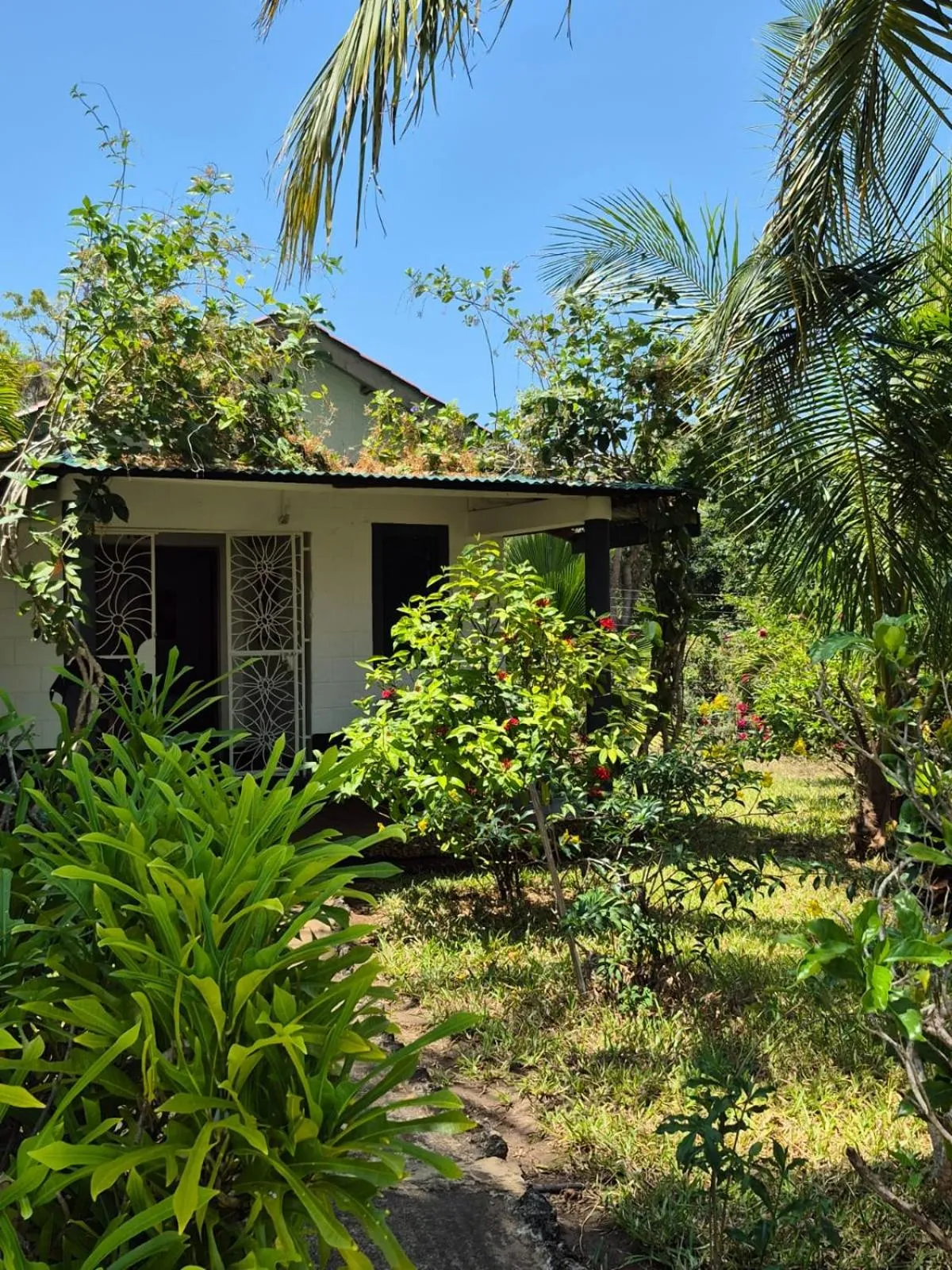 Property building in African Dream Cottages - Diani Beach
