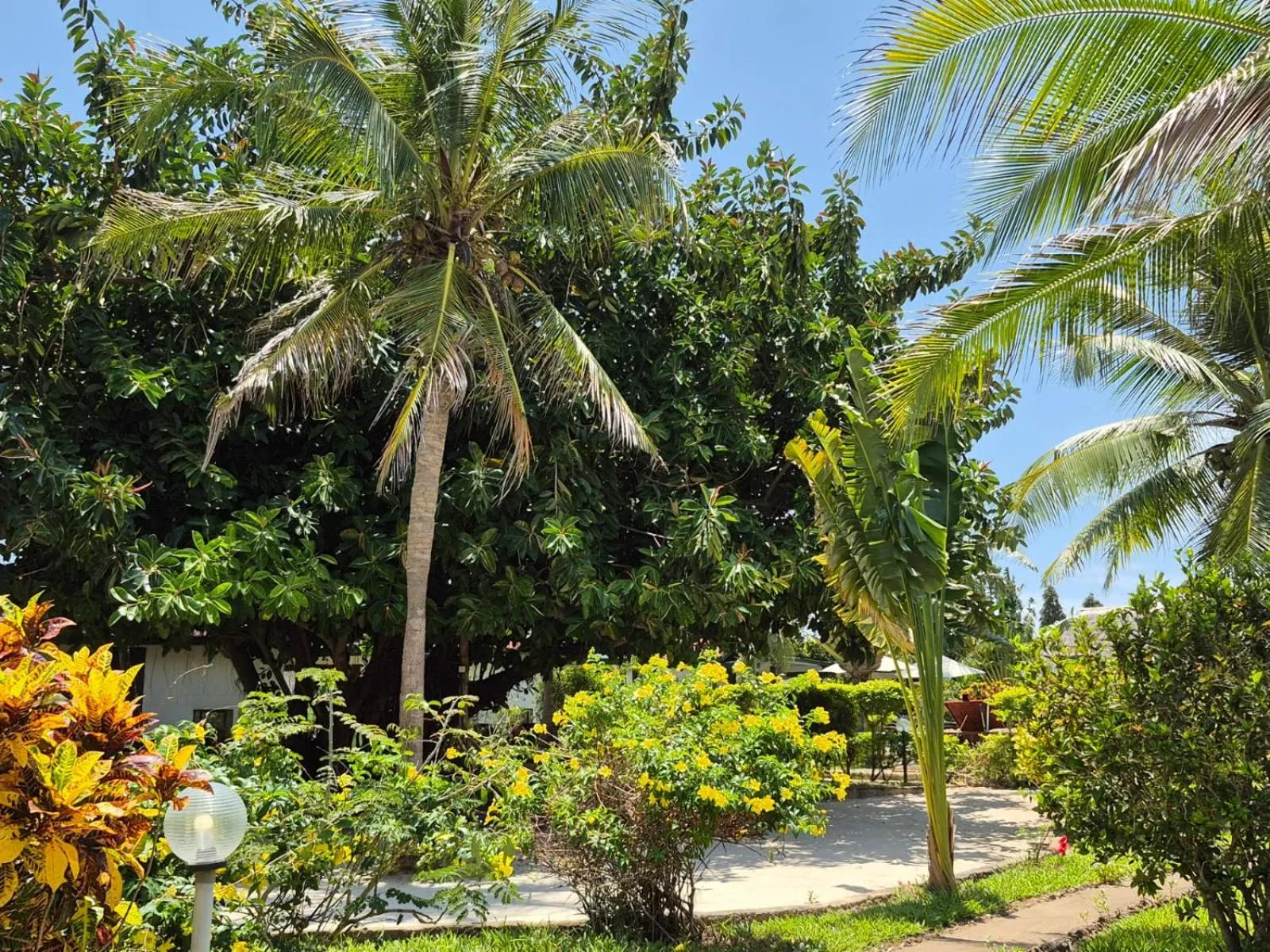Garden in African Dream Cottages - Diani Beach