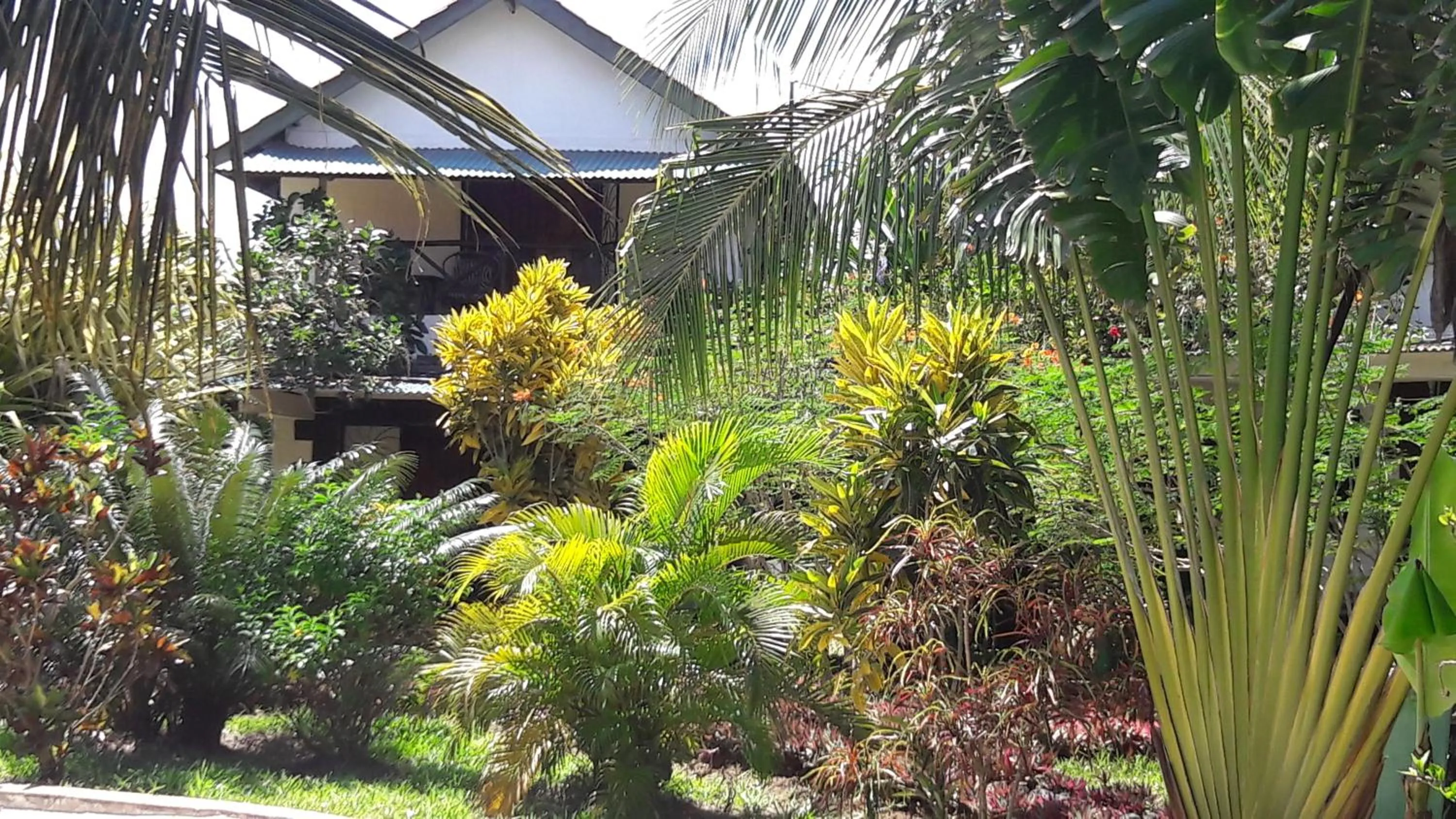 Garden in African Dream Cottages - Diani Beach