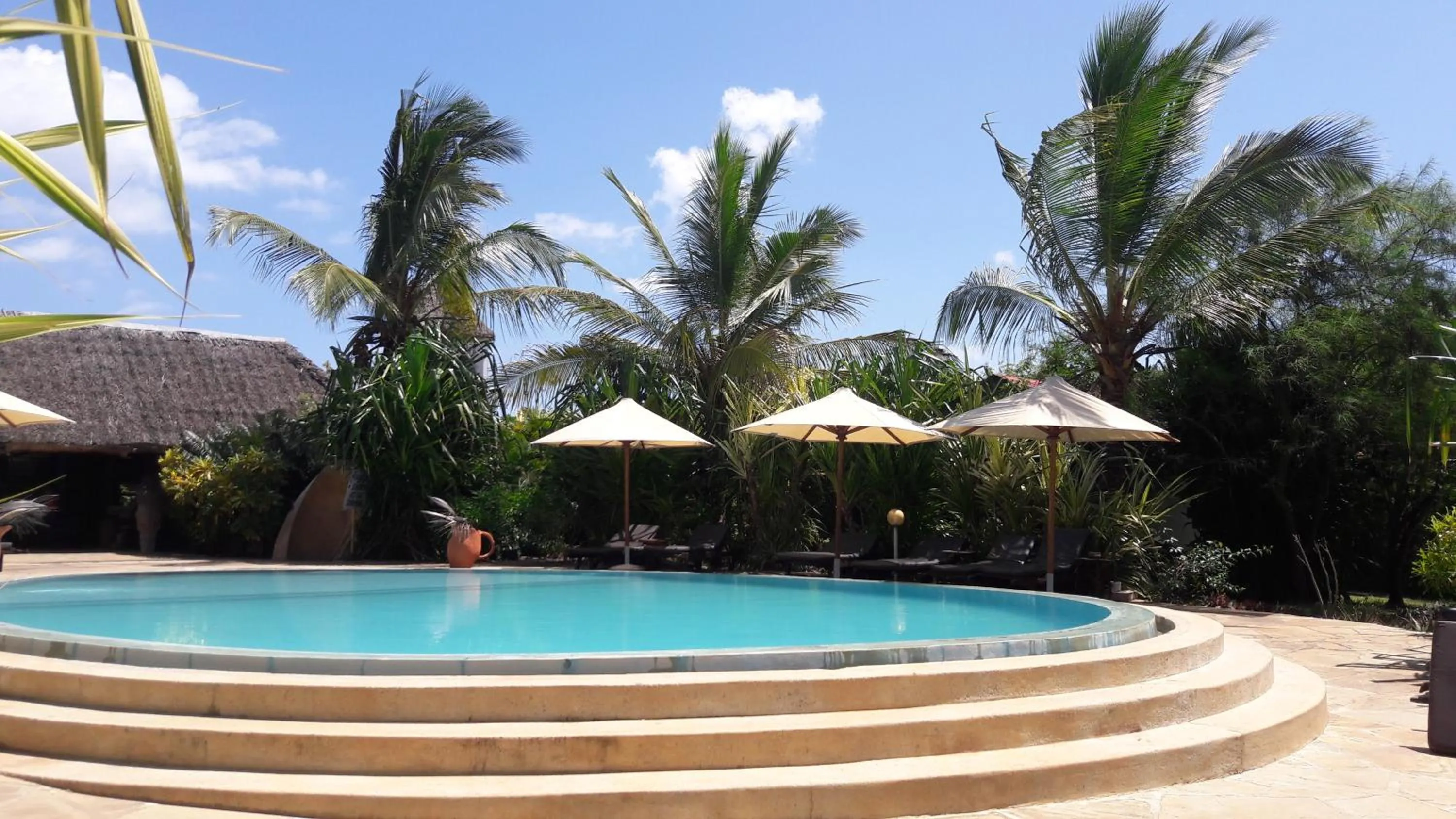 Garden in African Dream Cottages - Diani Beach