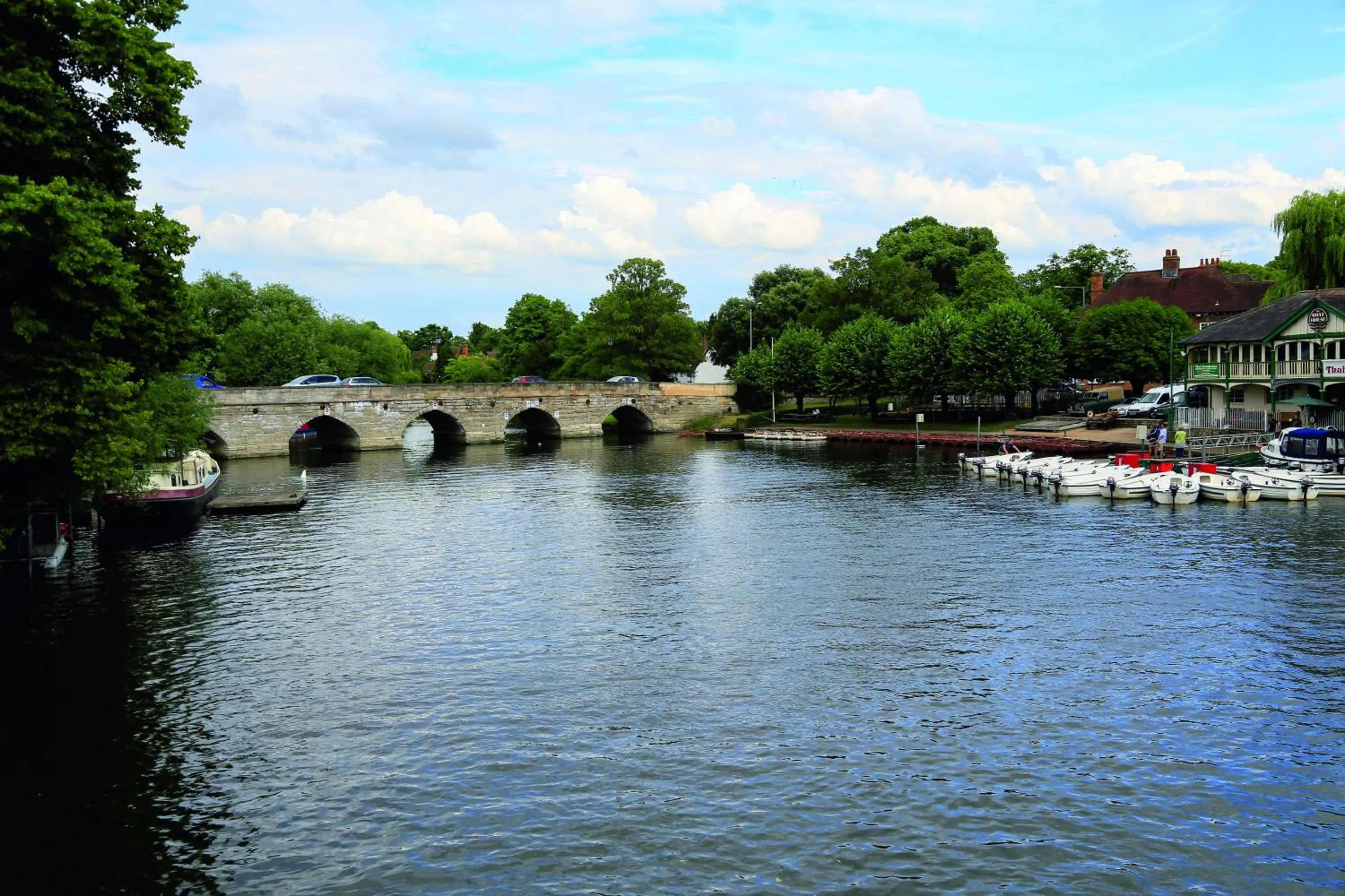 Area and facilities in Swan's Nest Hotel