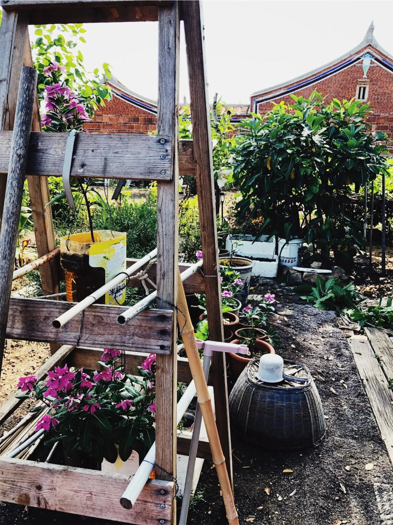 Natural landscape in I-Shan B&B