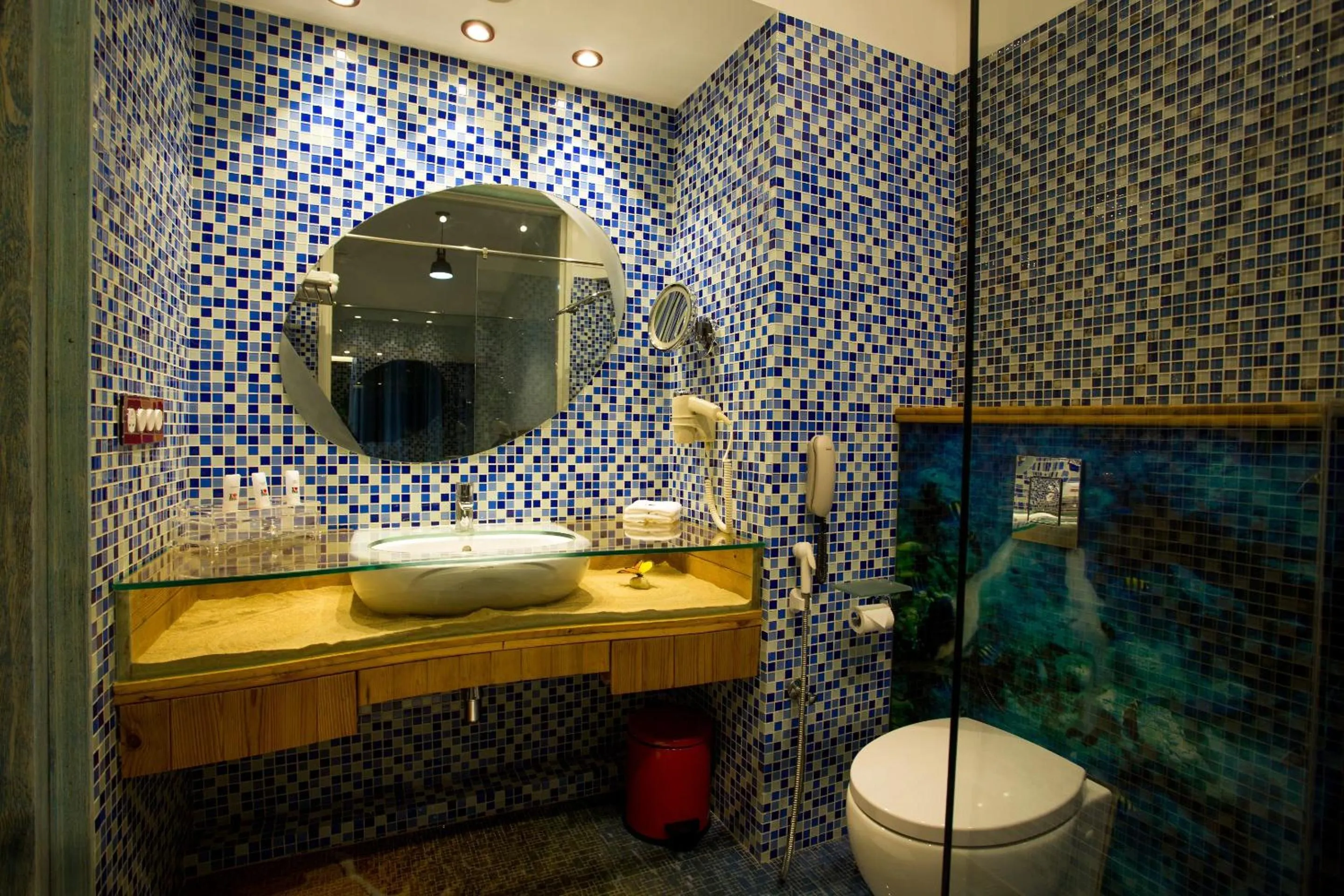 Toilet in Sandoz Vagator Goa