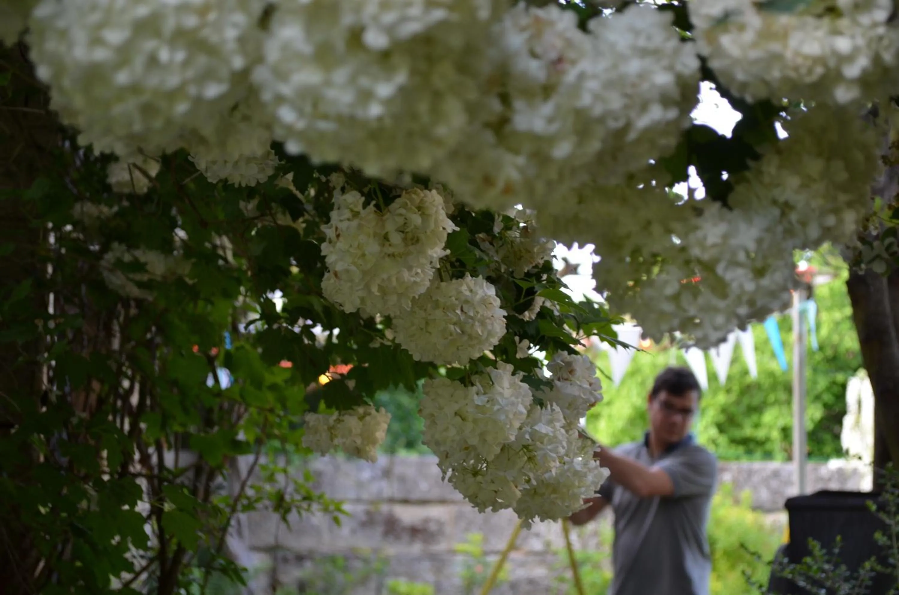 Spring in Le Jardin Secret