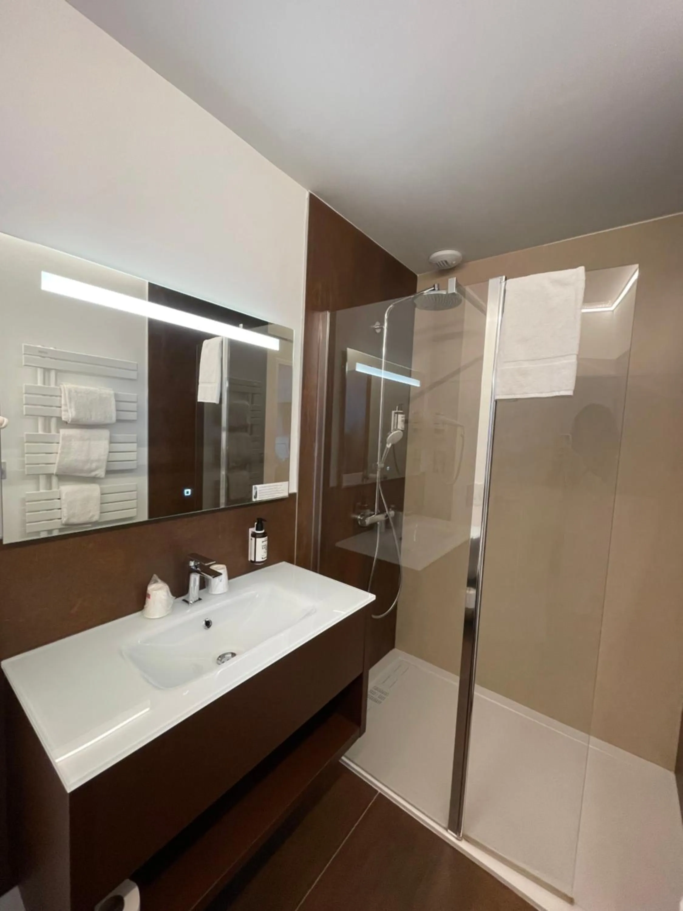 Shower in Hôtel Le Manoir du Roselier