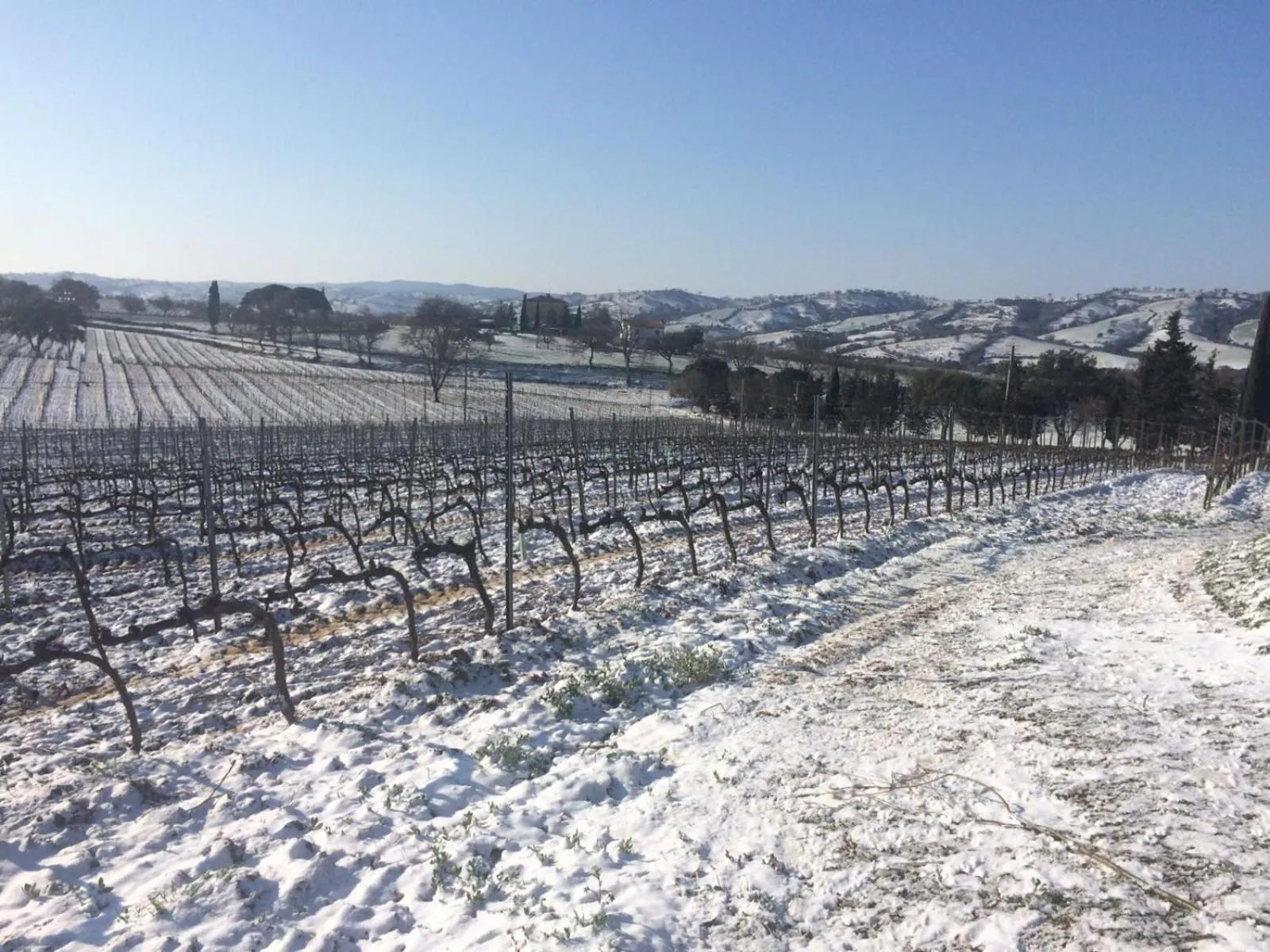 Winter in Agriturismo Diaccialone