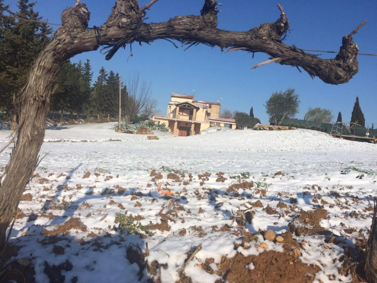 Winter in Agriturismo Diaccialone