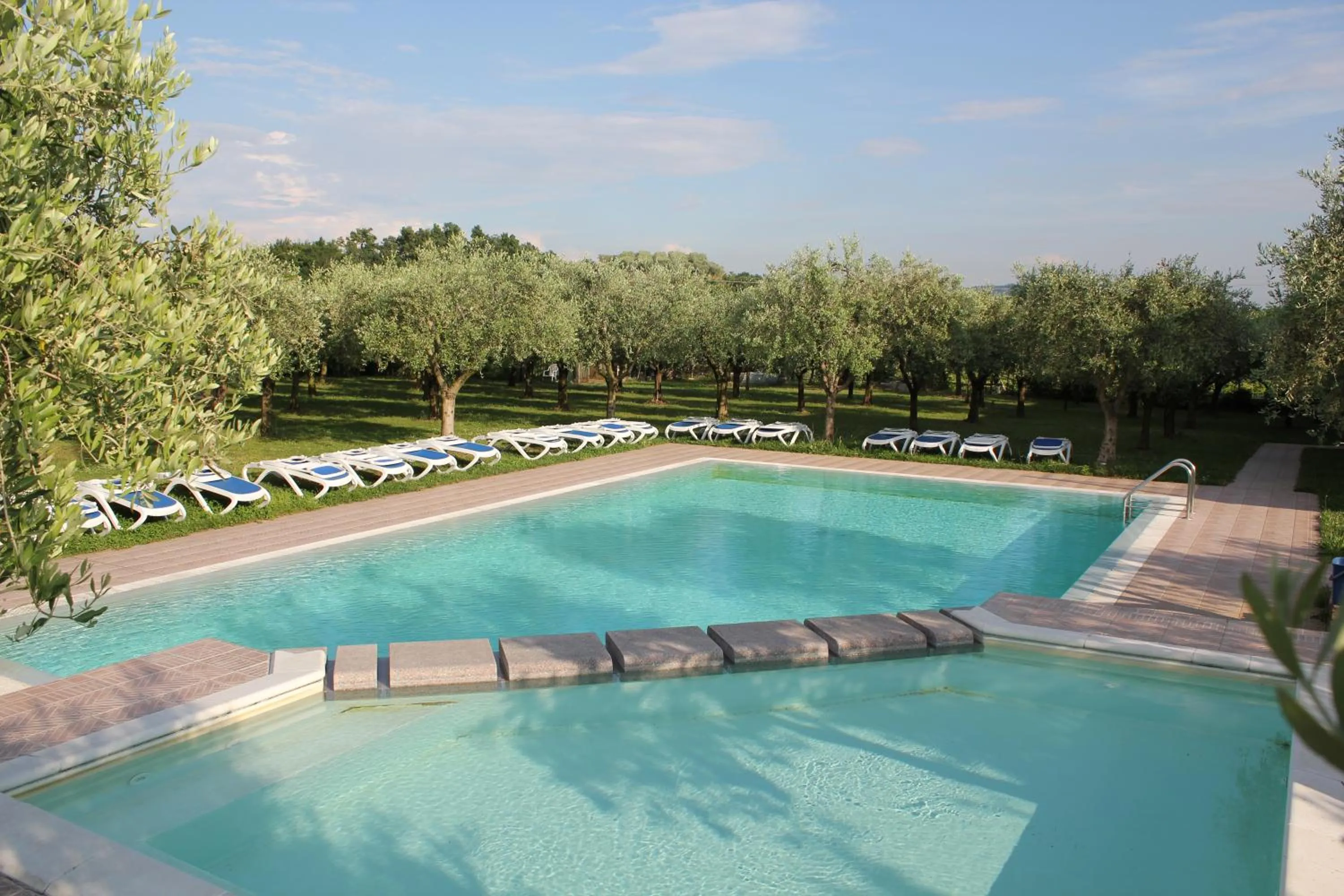 Day in Residence Ulivi