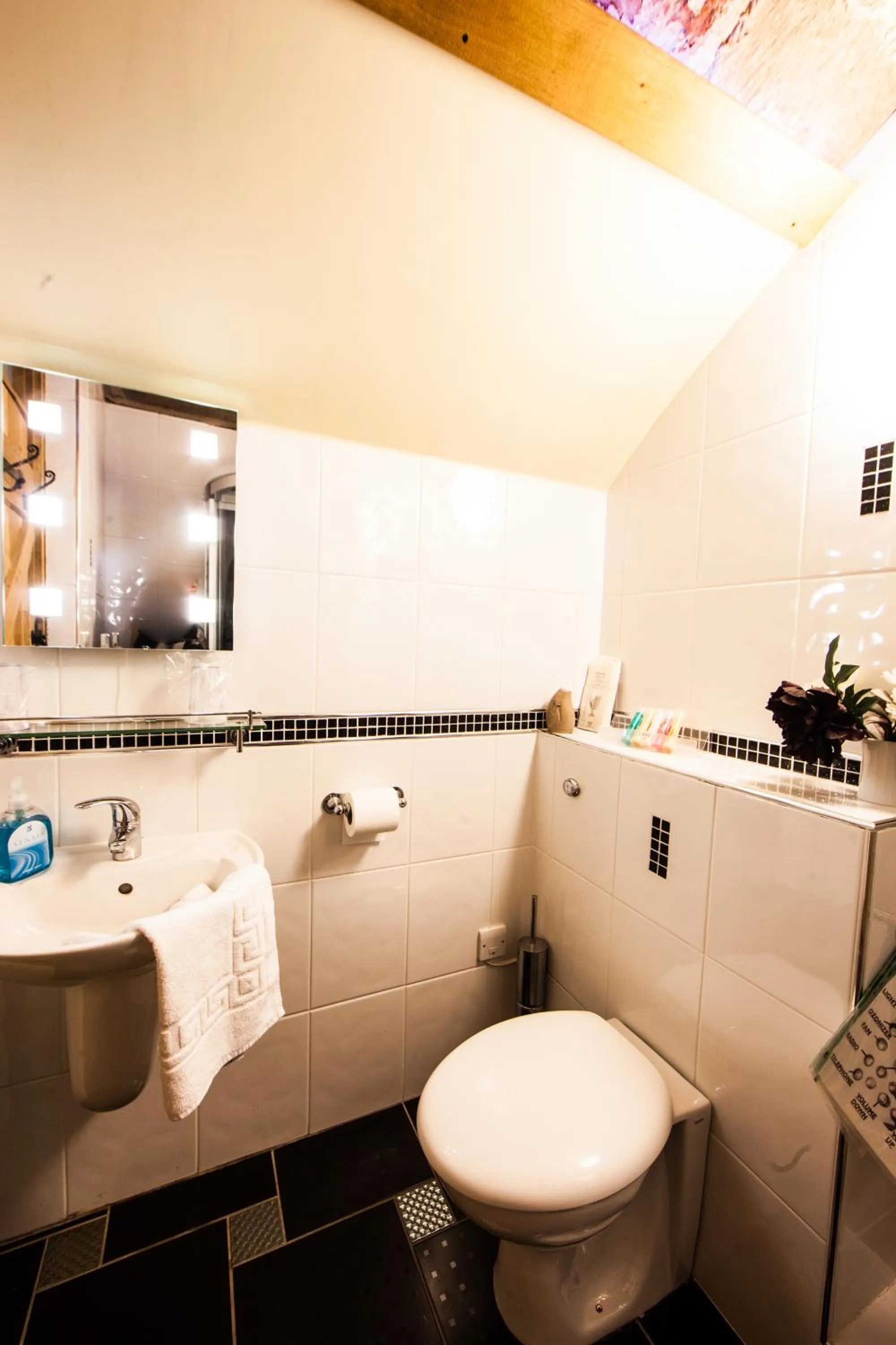 Bathroom in Old Hall House, NEC