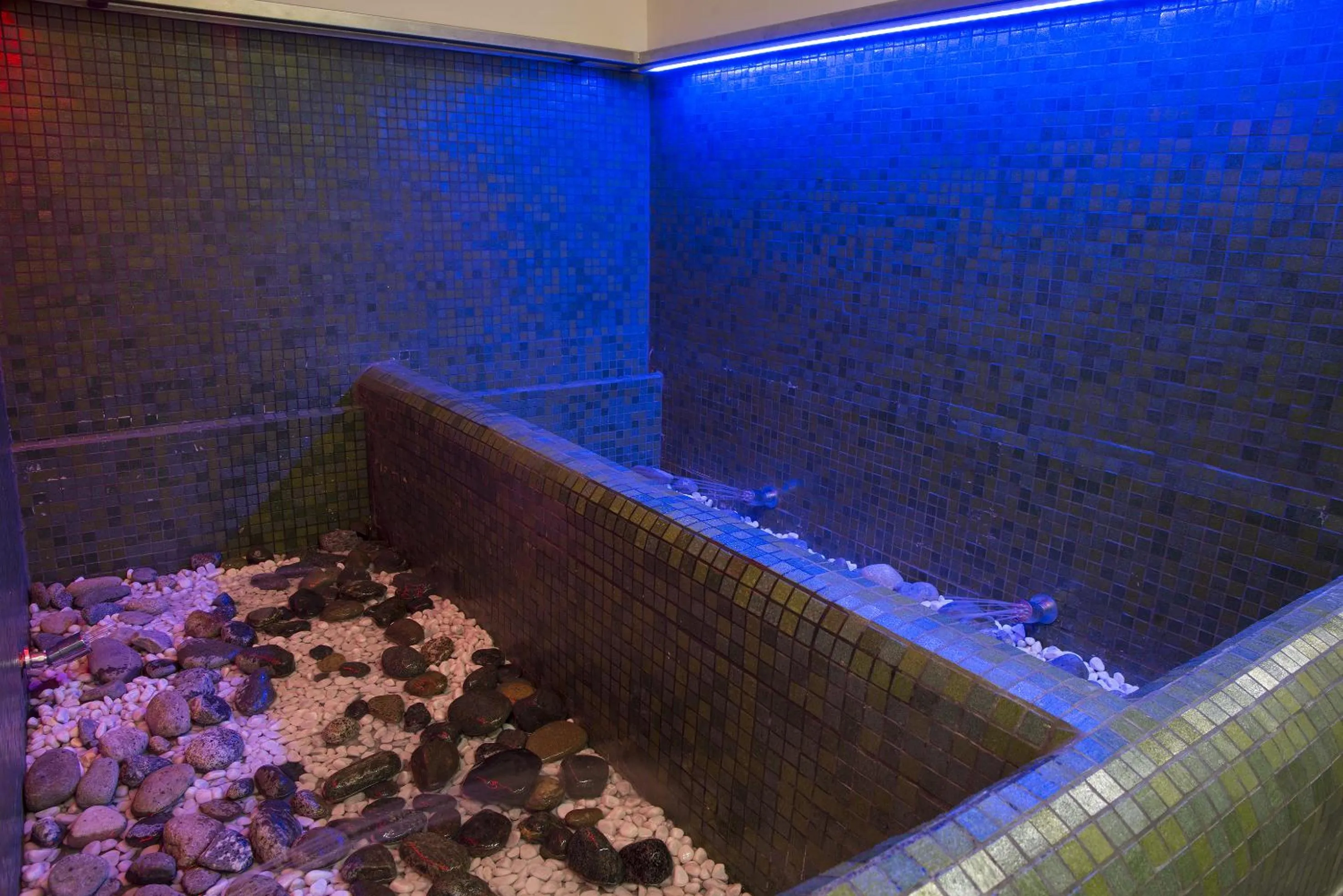 Spa and wellness centre/facilities in Albergo Ristorante Bucaneve