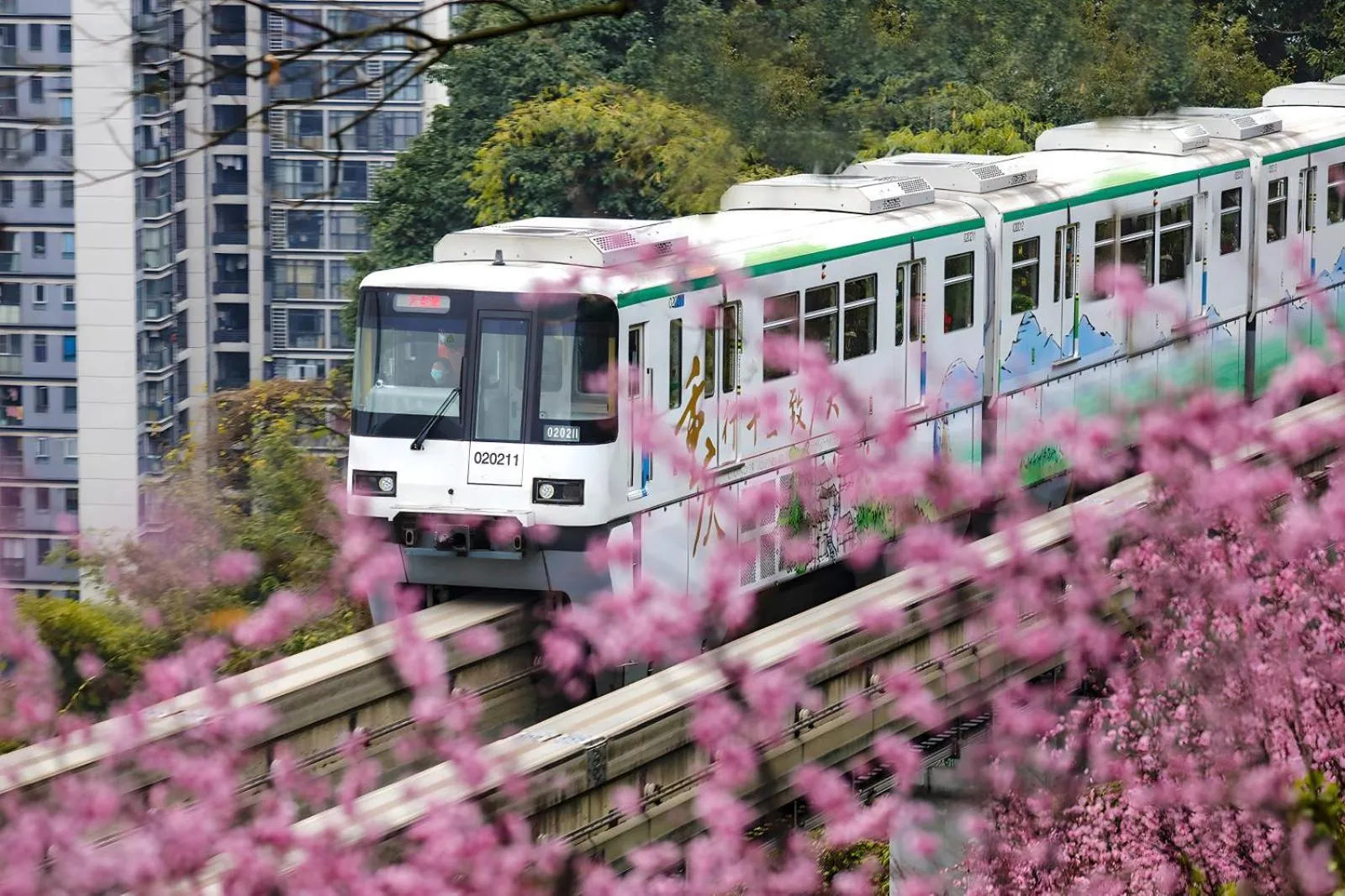 Natural landscape in Wuyu Hotel - Chongqing Jiangbei Airport & Light Rail