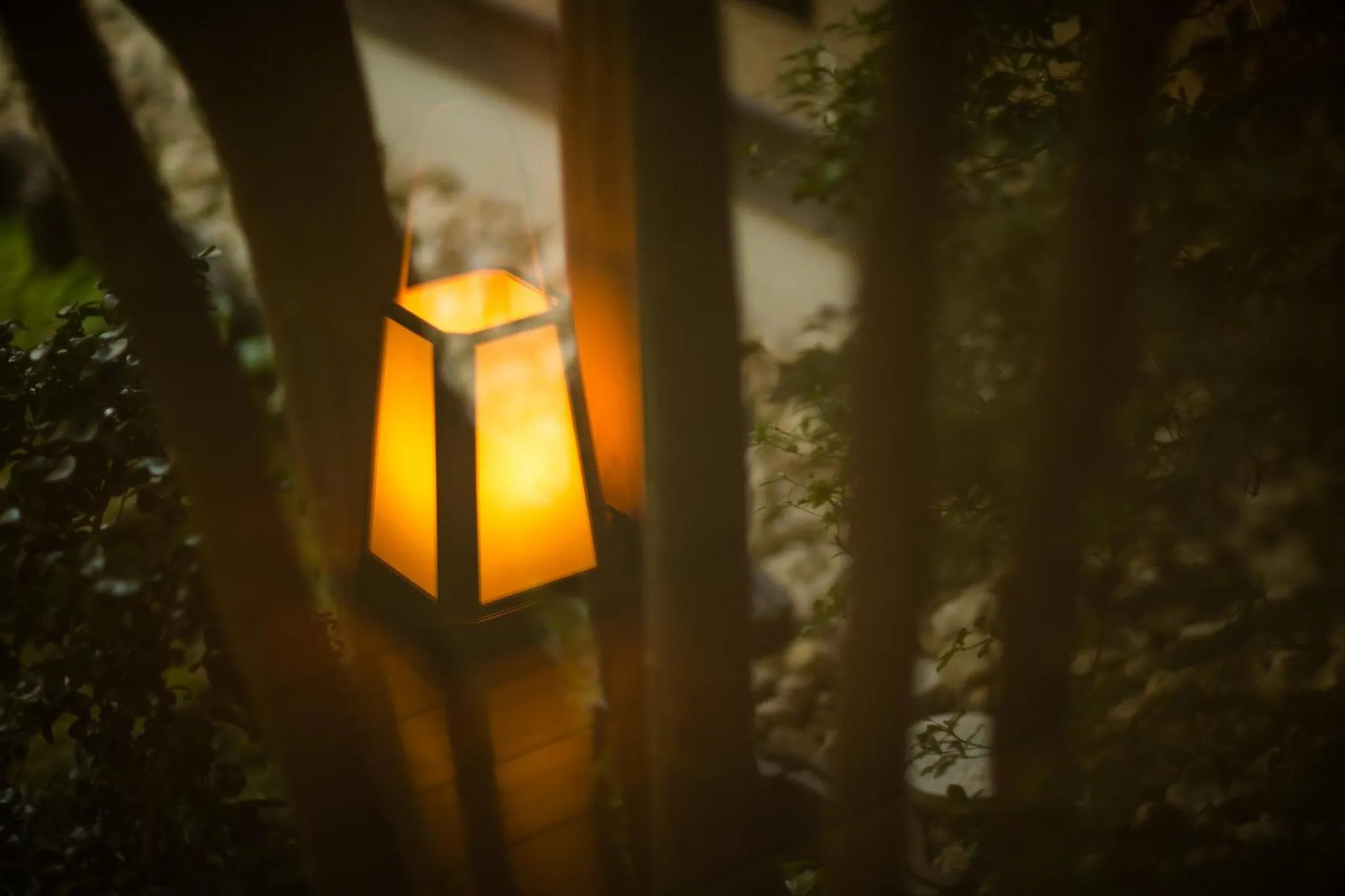 Night in Ryoutei Ryokan Yasui