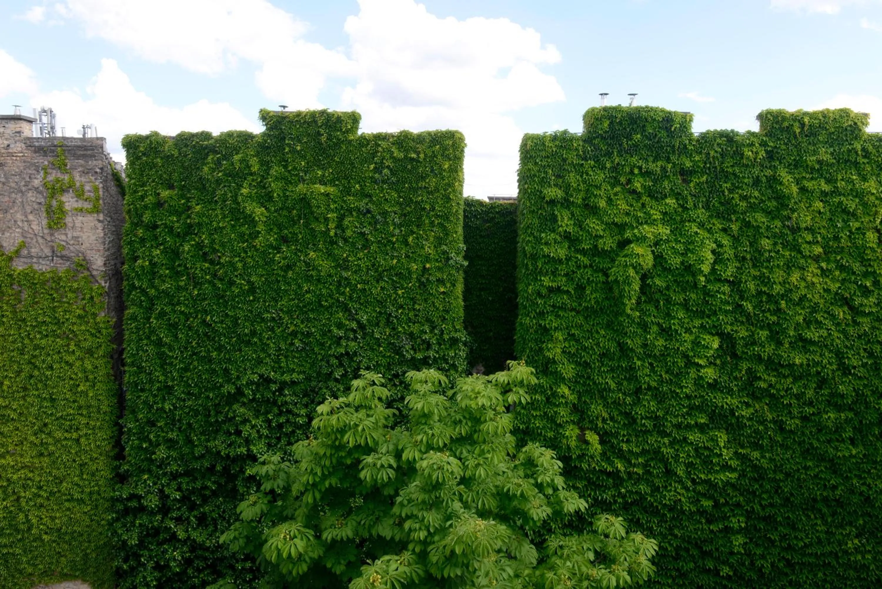 Garden view in Walk Inn Váci 42