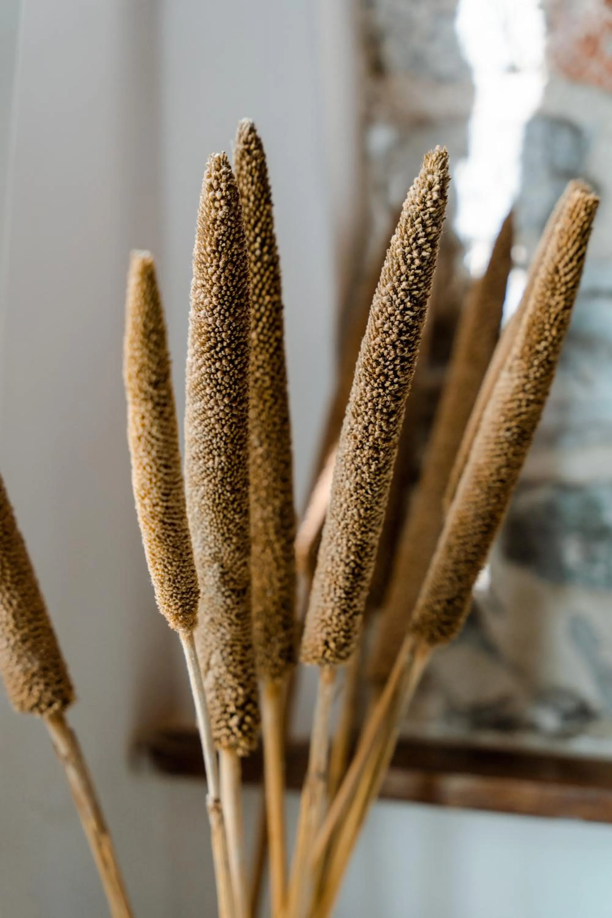 Decorative detail in Le 5 Terre La Spezia