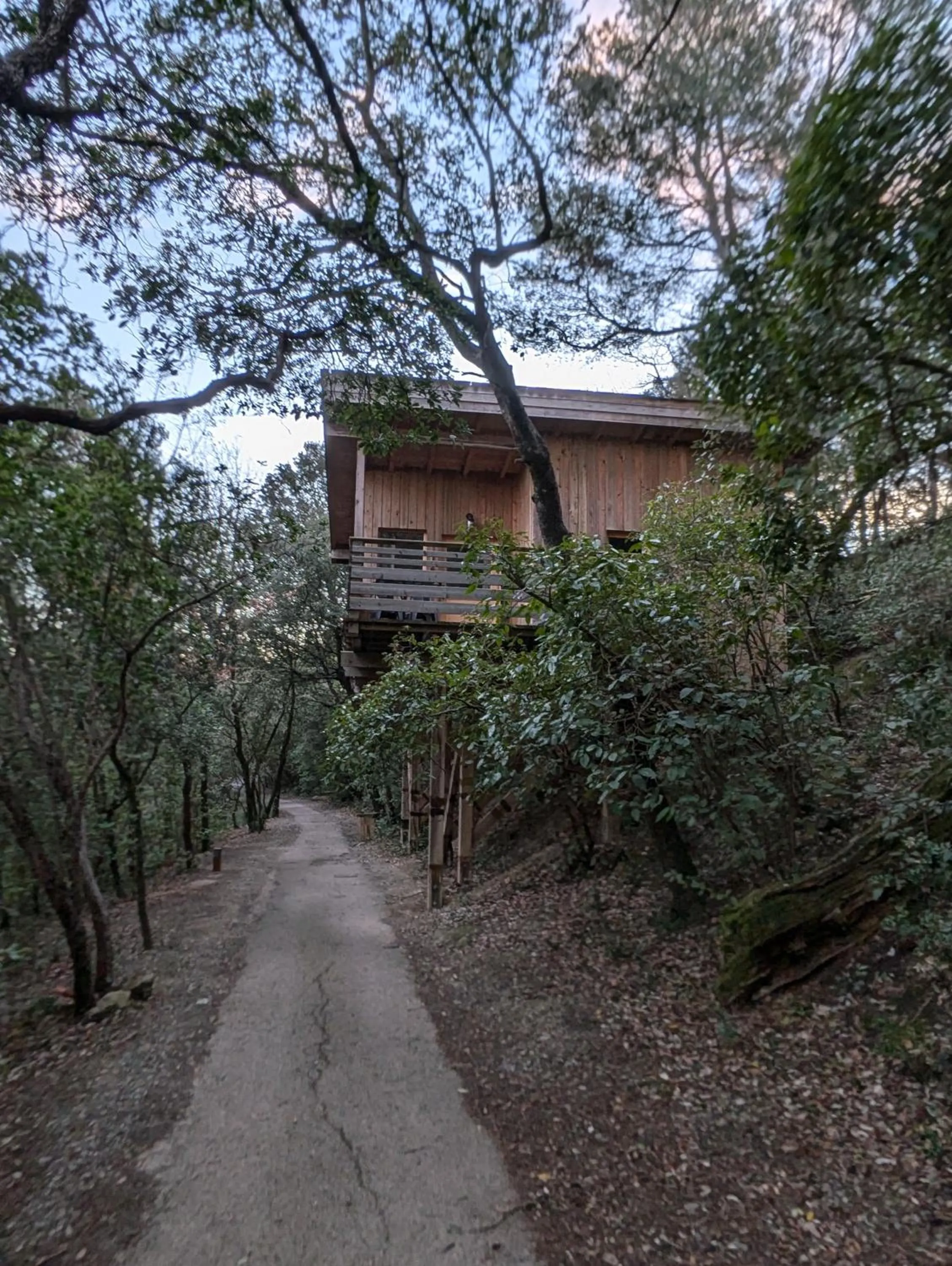 View (from property/room) in Les Cabanes Dans Les Bois Logis Hôtel