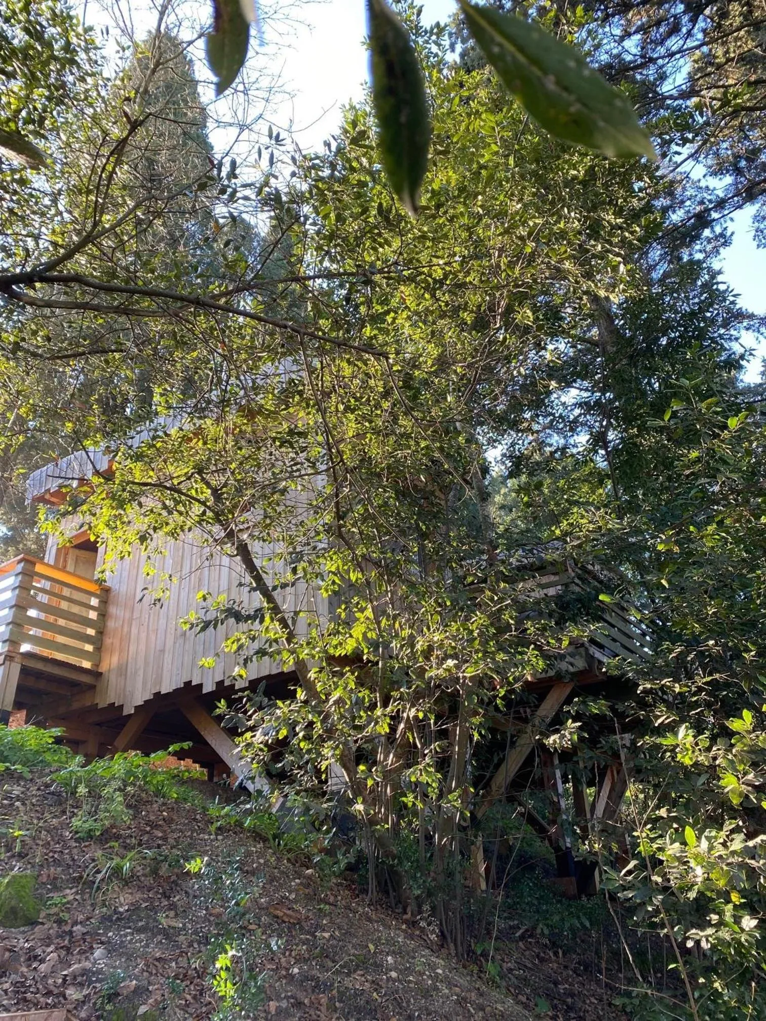 Bedroom in Les Cabanes Dans Les Bois Logis Hôtel