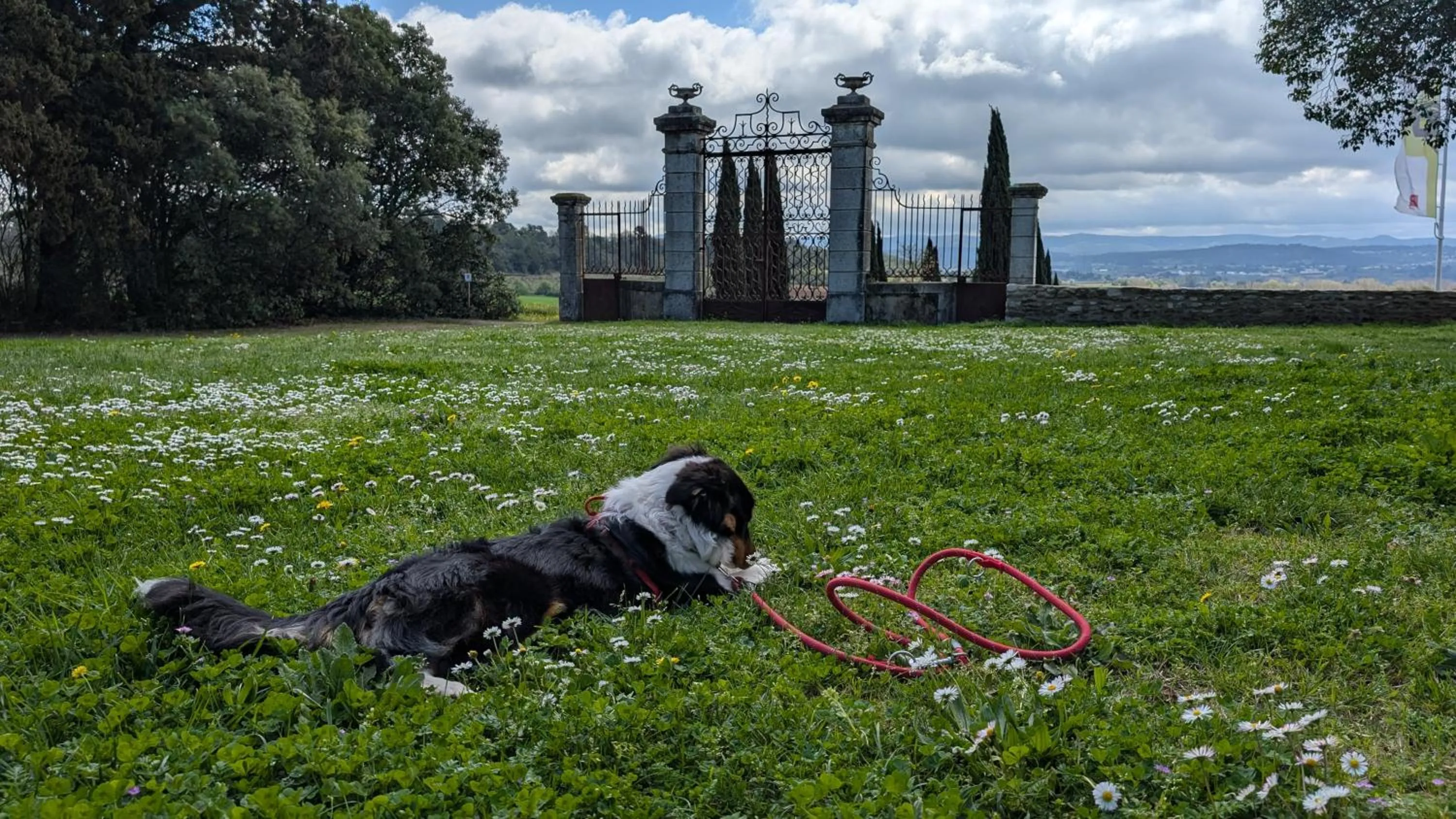 Garden in Les Cabanes Dans Les Bois Logis Hôtel