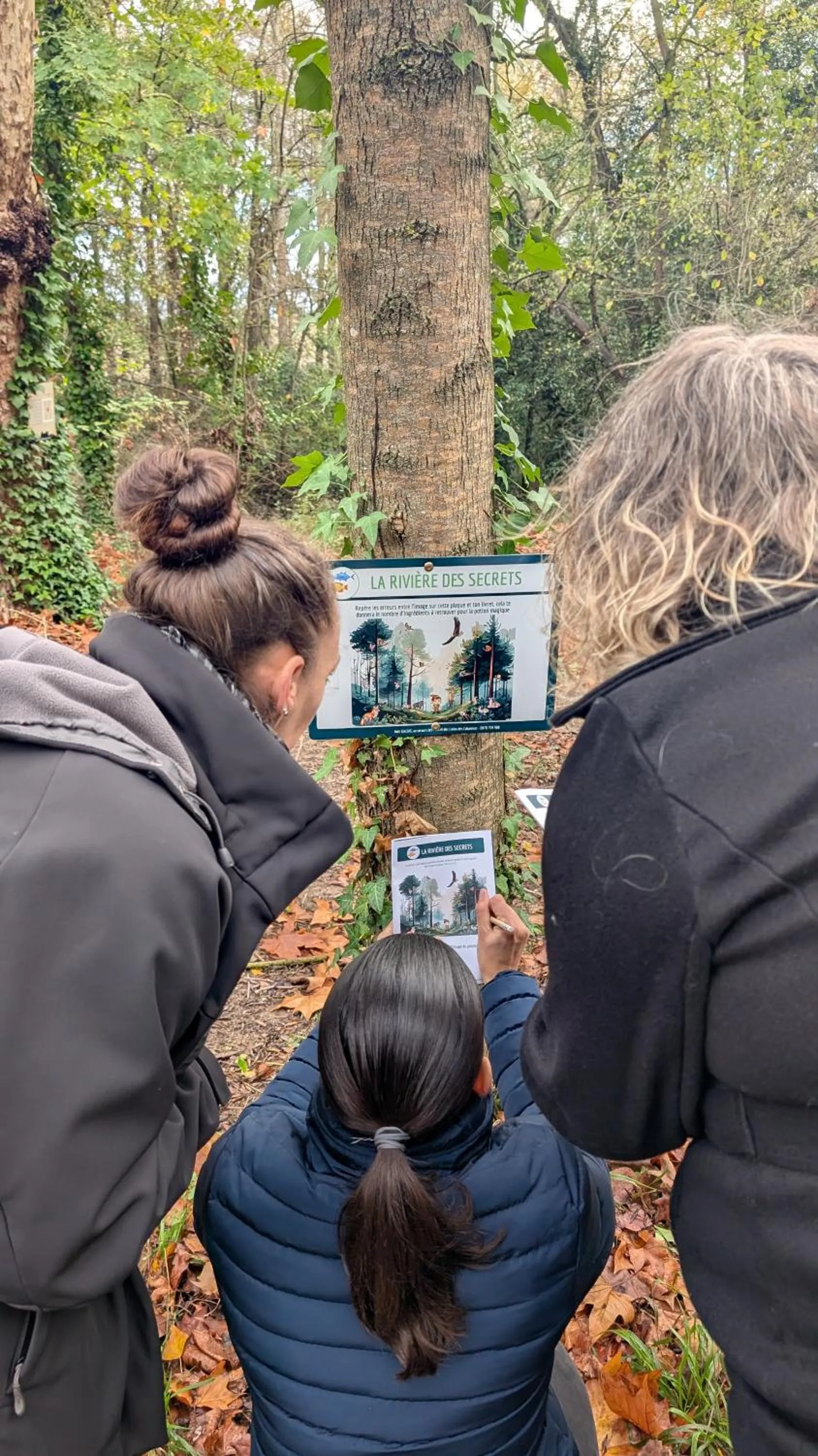 Activities in Les Cabanes Dans Les Bois Logis Hôtel