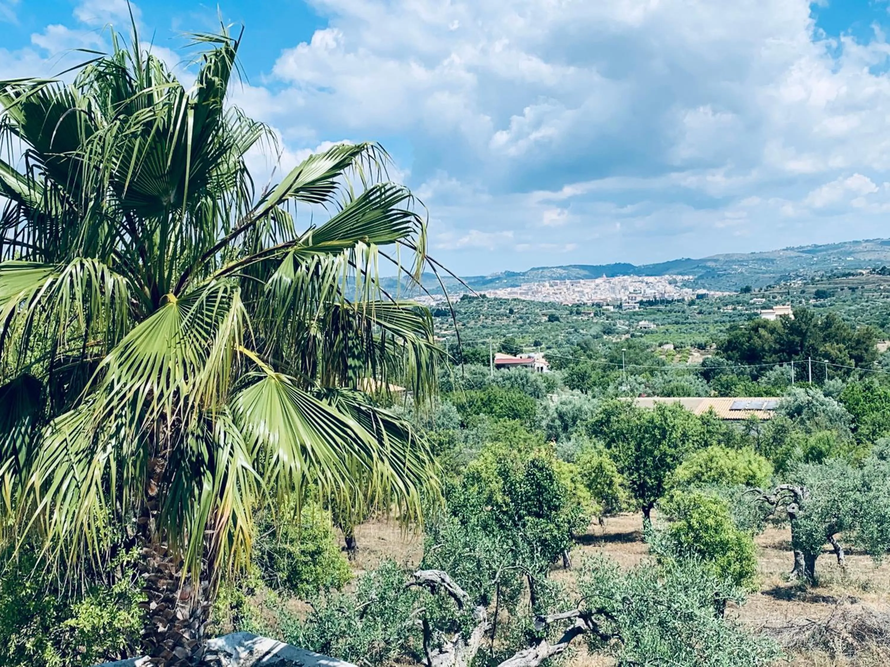 Neighbourhood in Agriturismoeloropizzuta