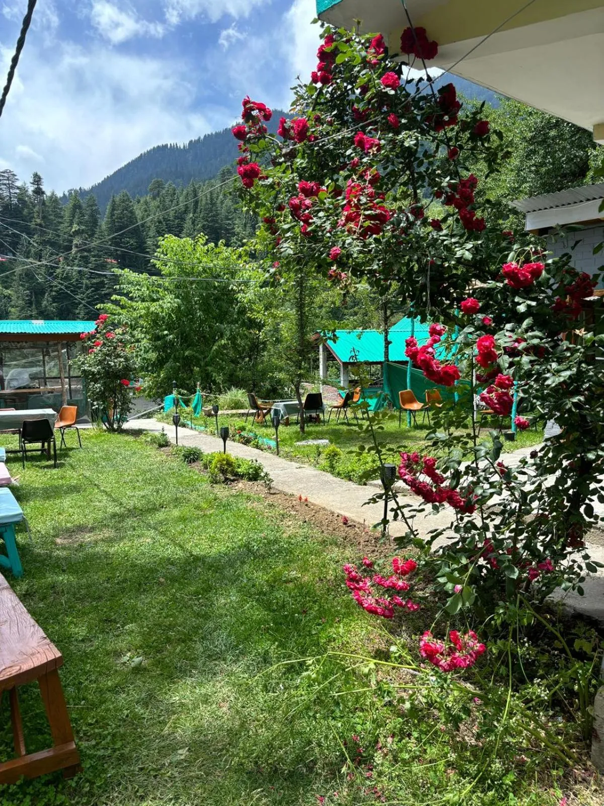 Garden view in Beholden Stay And Cafe - A Luxury Boutique Hotel In Manali