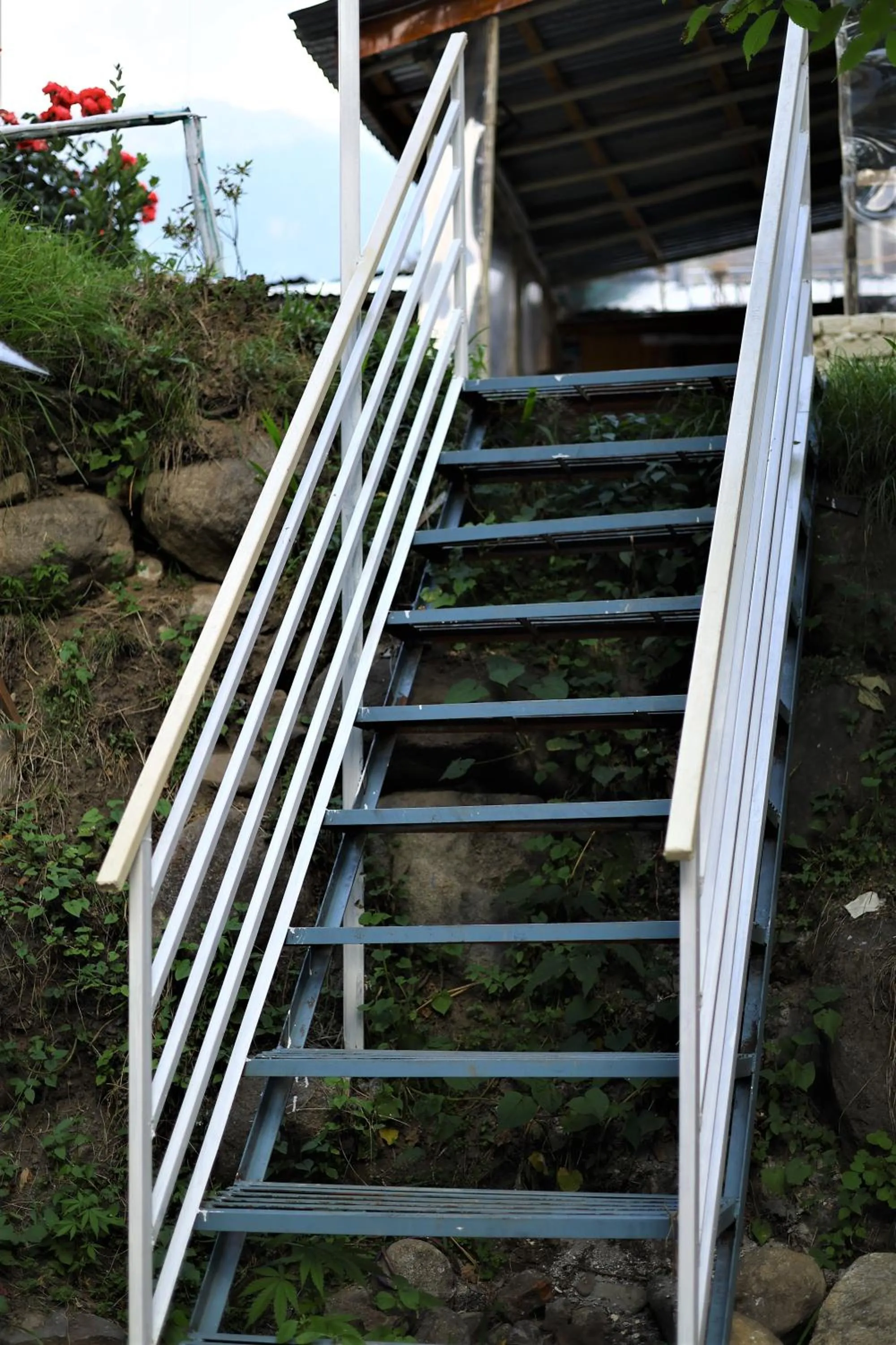 Property building in Beholden Stay & Cafe-Mountain View Boutique Stay in Old Manali